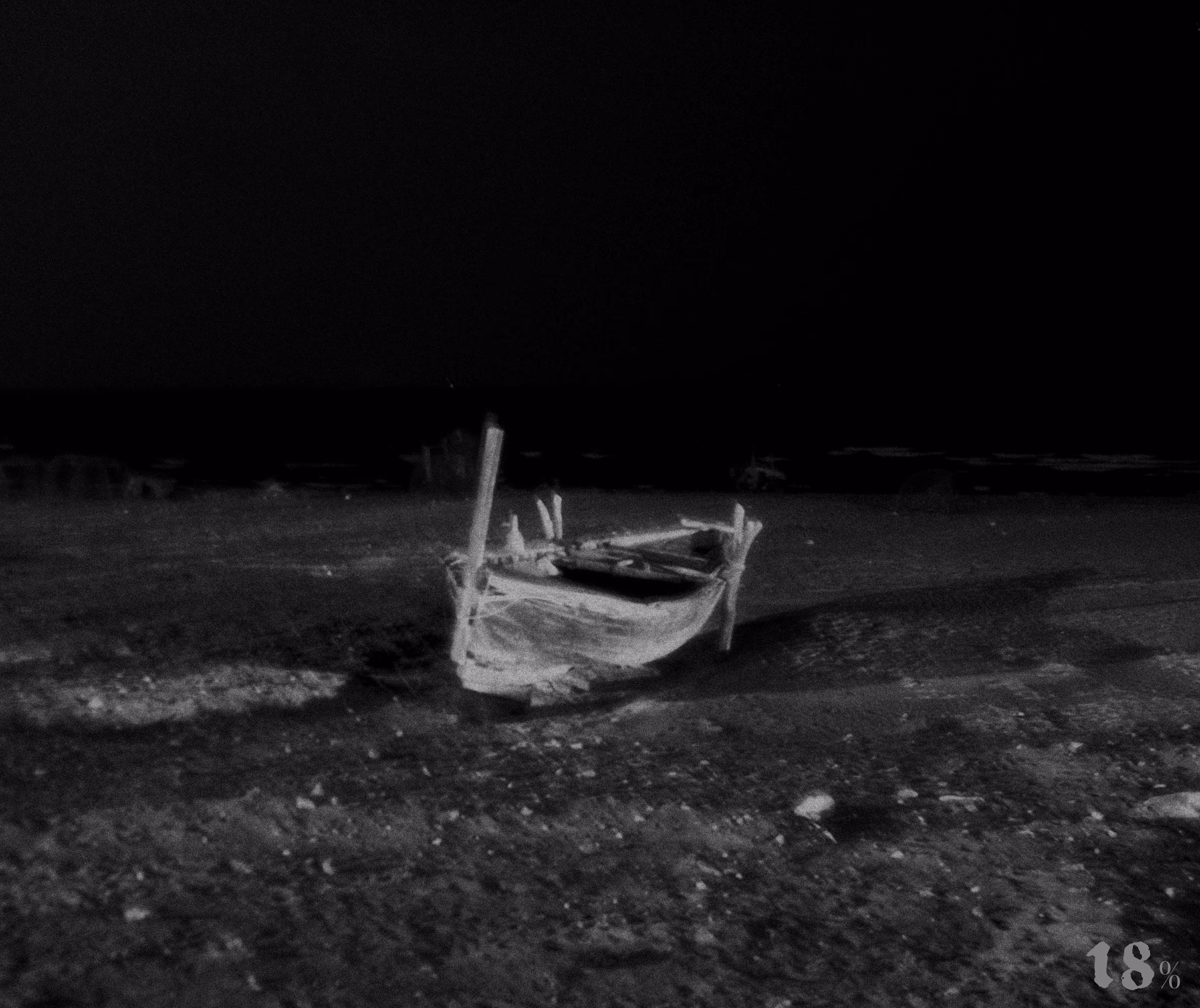 Scenes from a migration