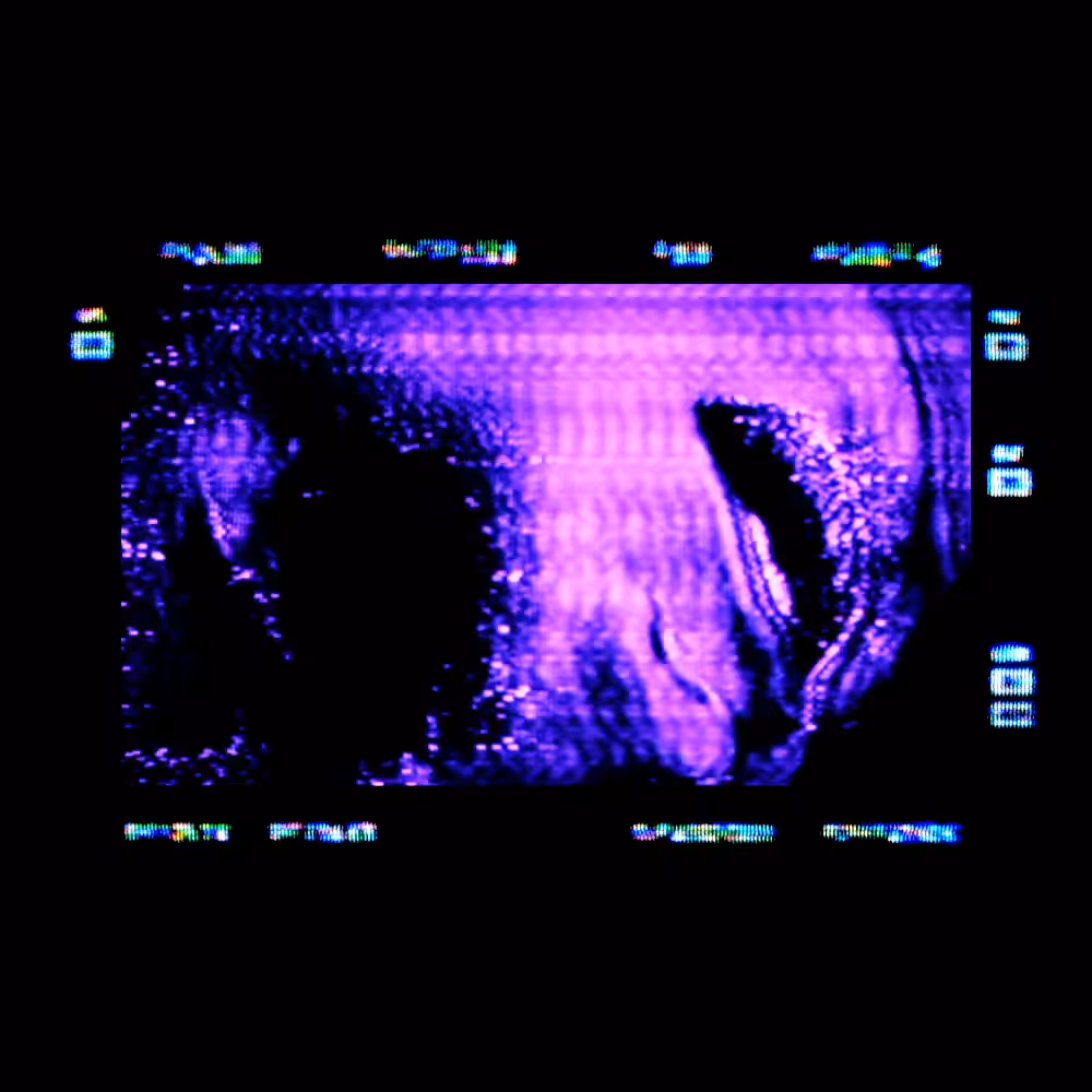 𝙁𝙚𝙚𝙡 𝙈𝙚