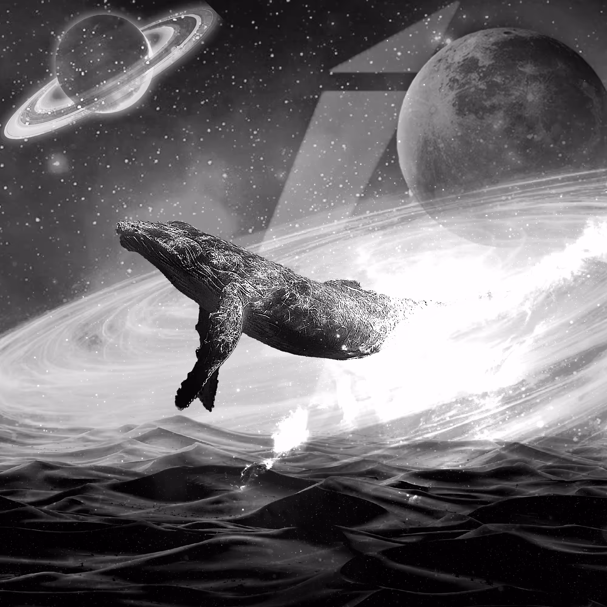 Silver Insta Whale