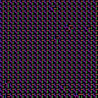CGA Safari #24