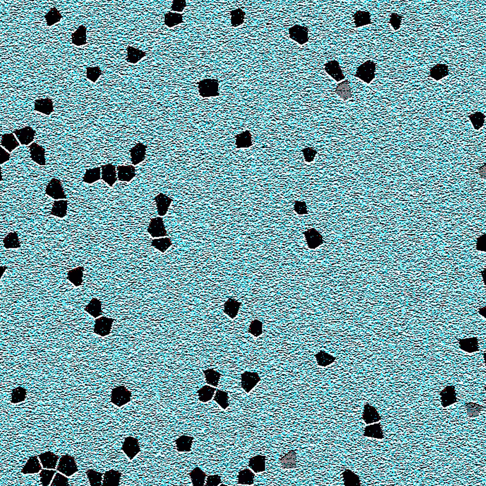 piece of 'O rchid. mo(u)lting' 0002 