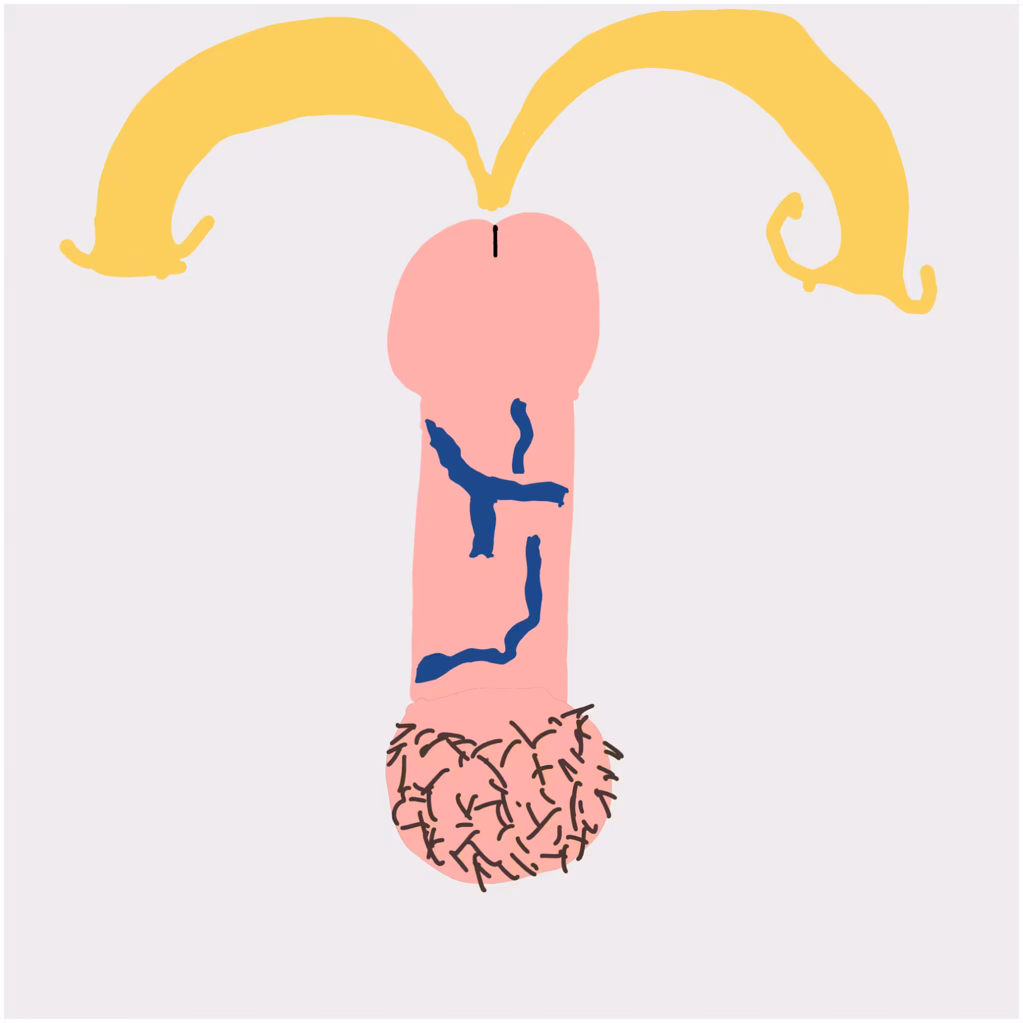 Dickgenerative Art #61