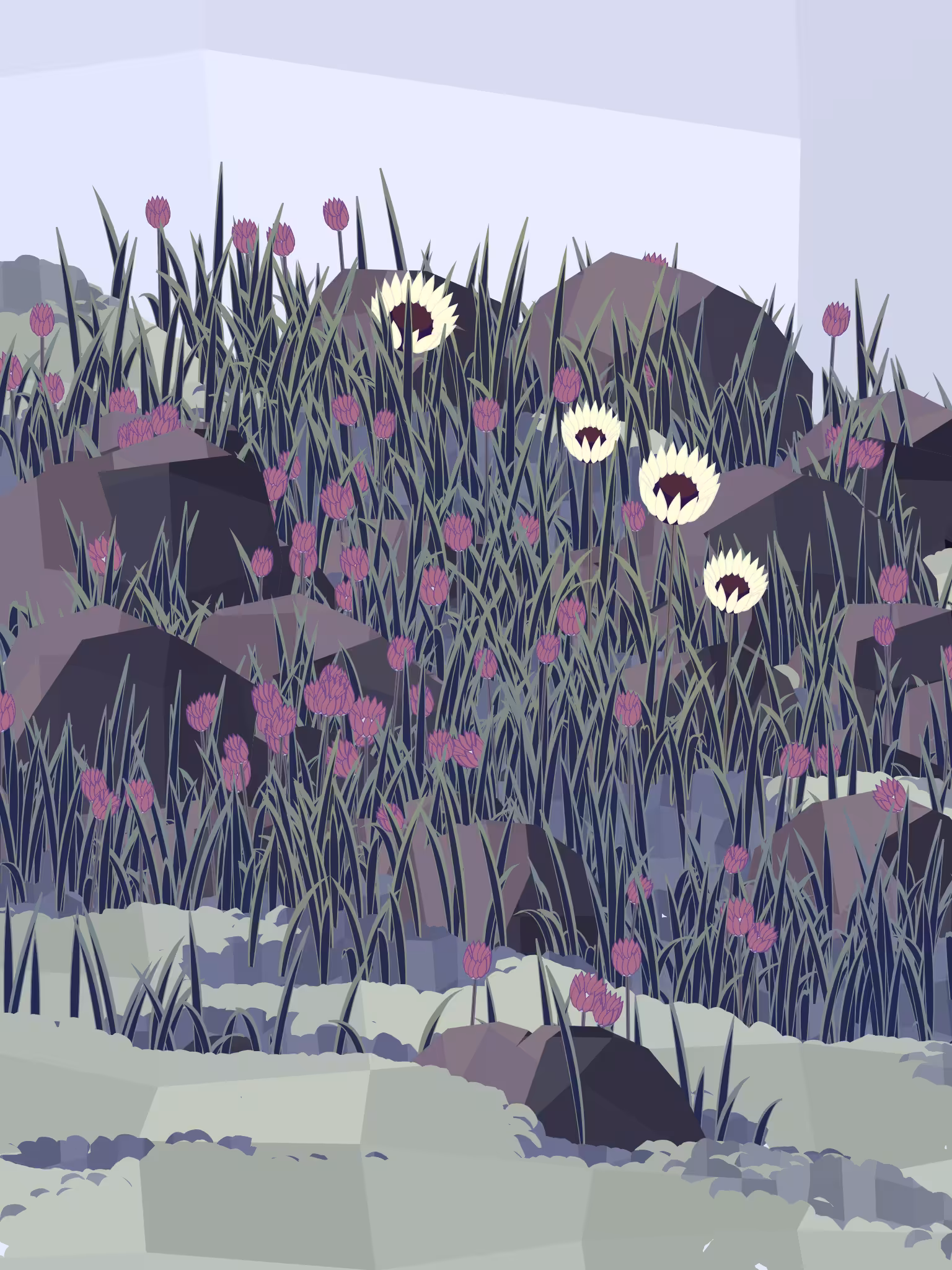 Frontier #25