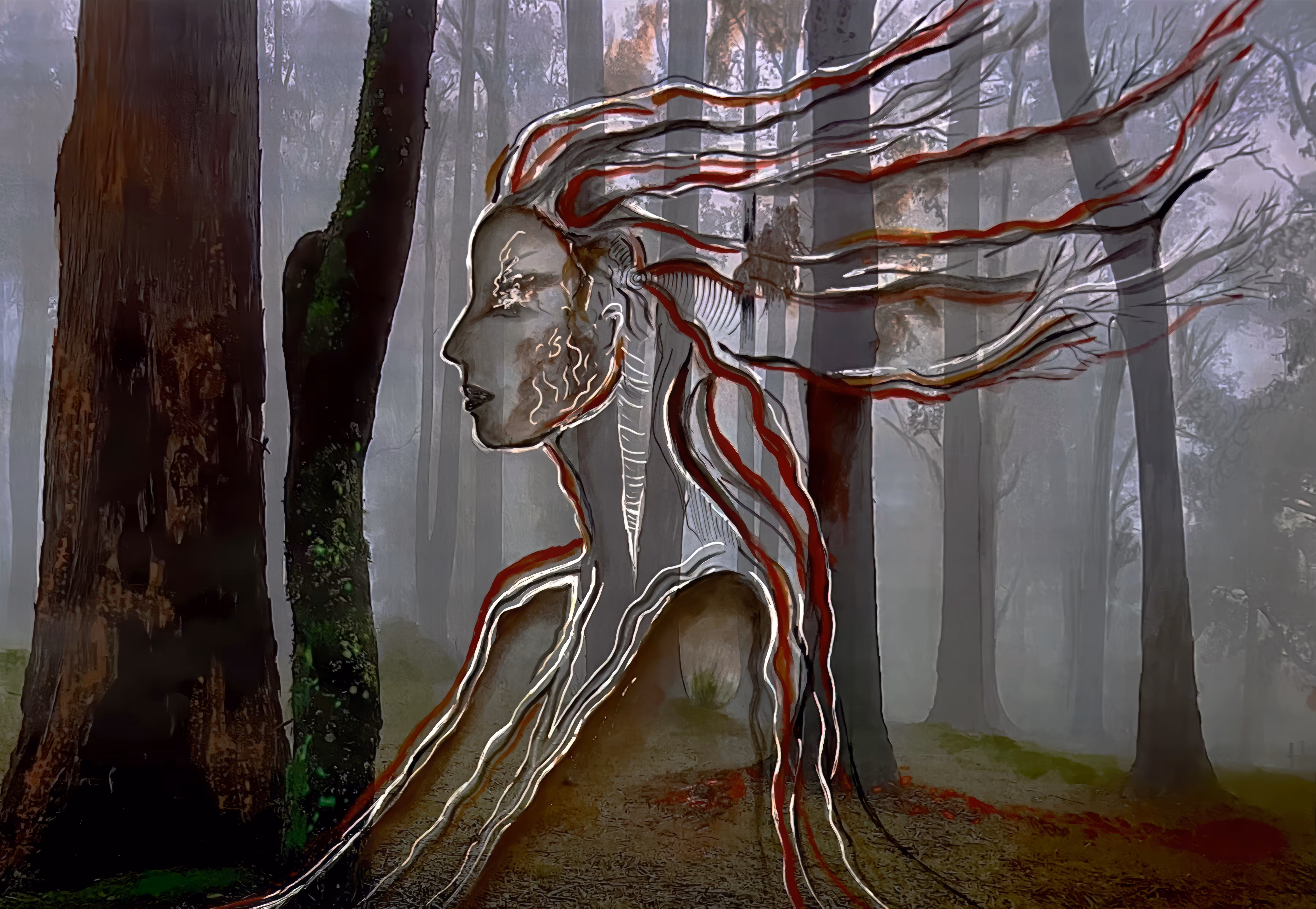 Where the Forest Found Her