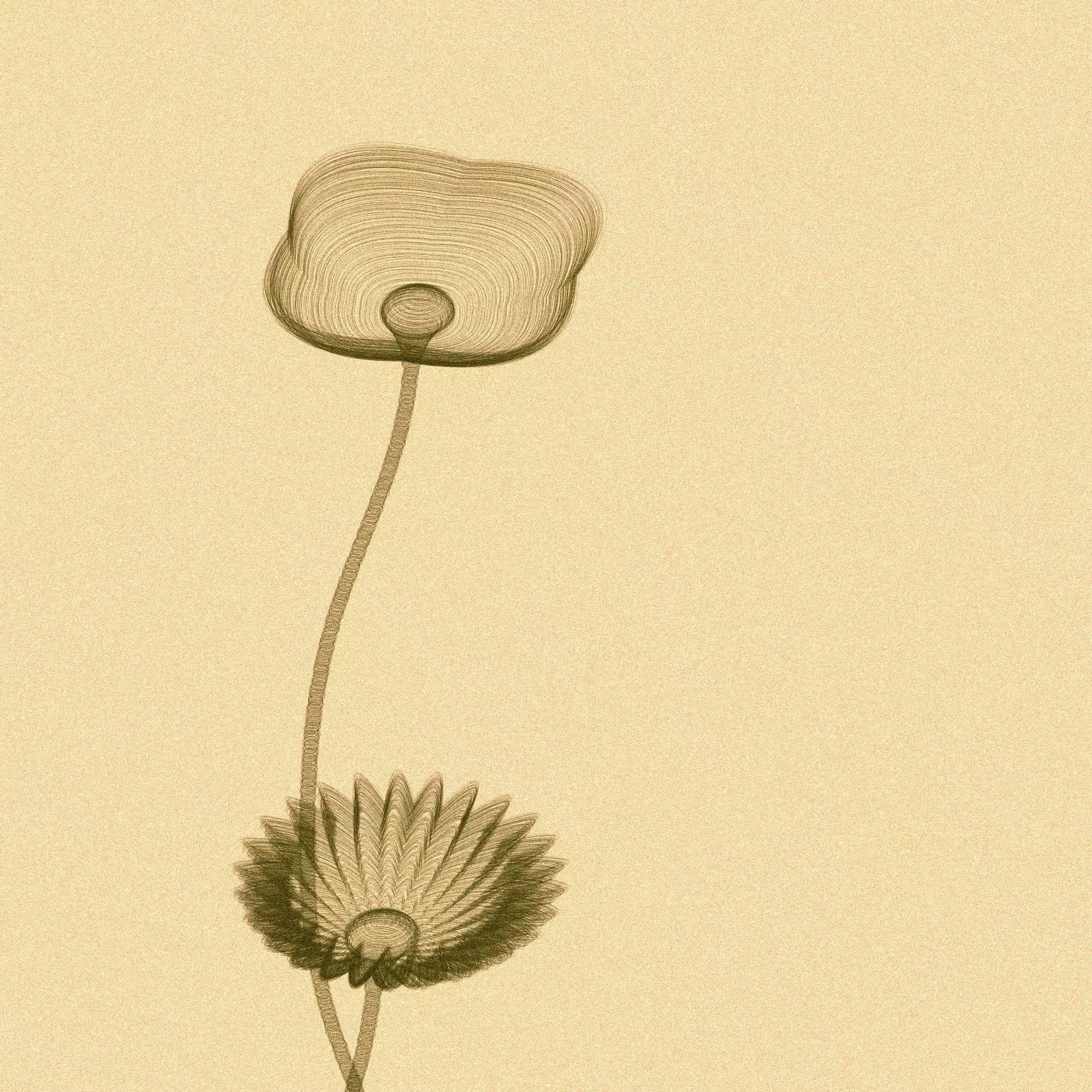 Code Flowers #45