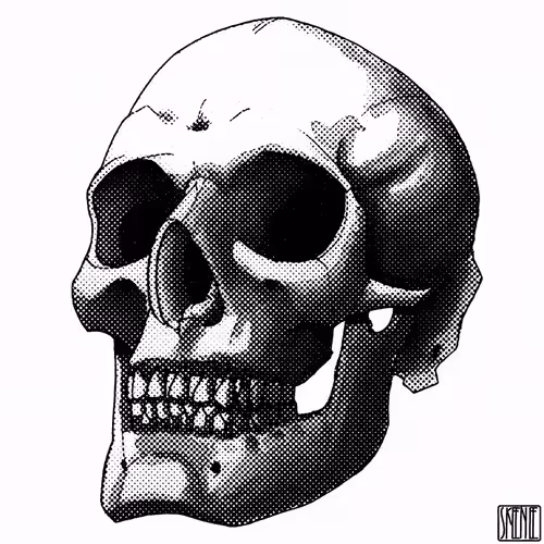 💀46 | CHROMATIC GLITCH SKULL 05