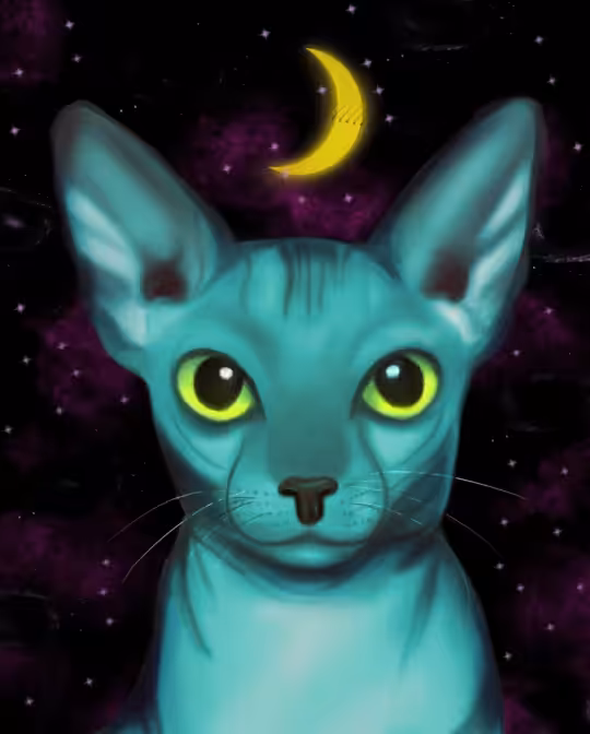 Alien sphynx cat