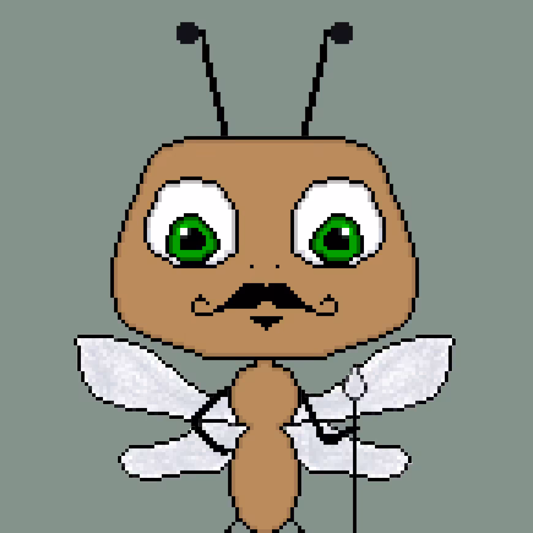 LIL Ants 022