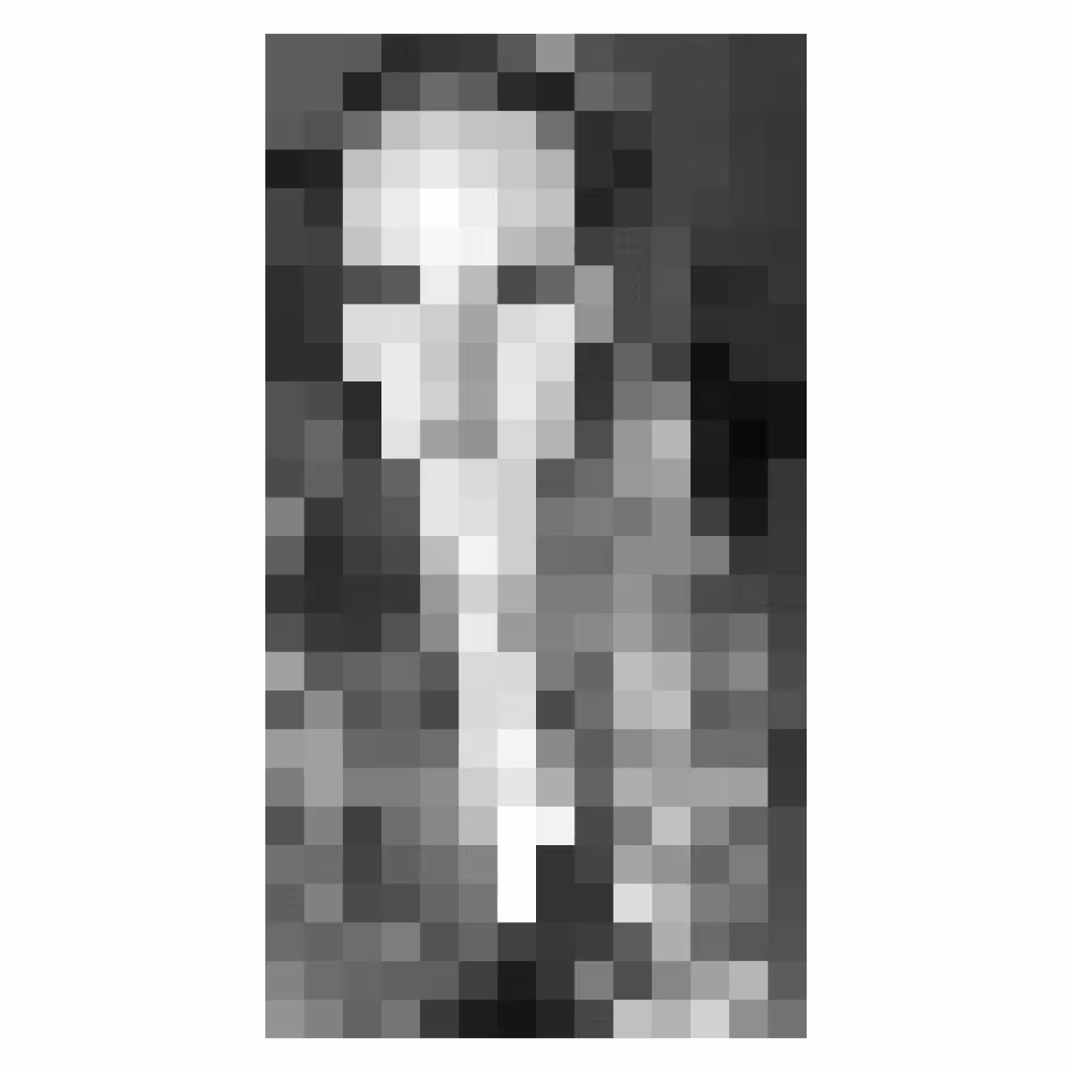 Pixel Lady