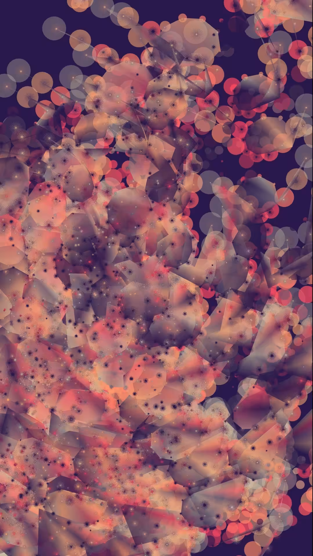 Lombrela #02