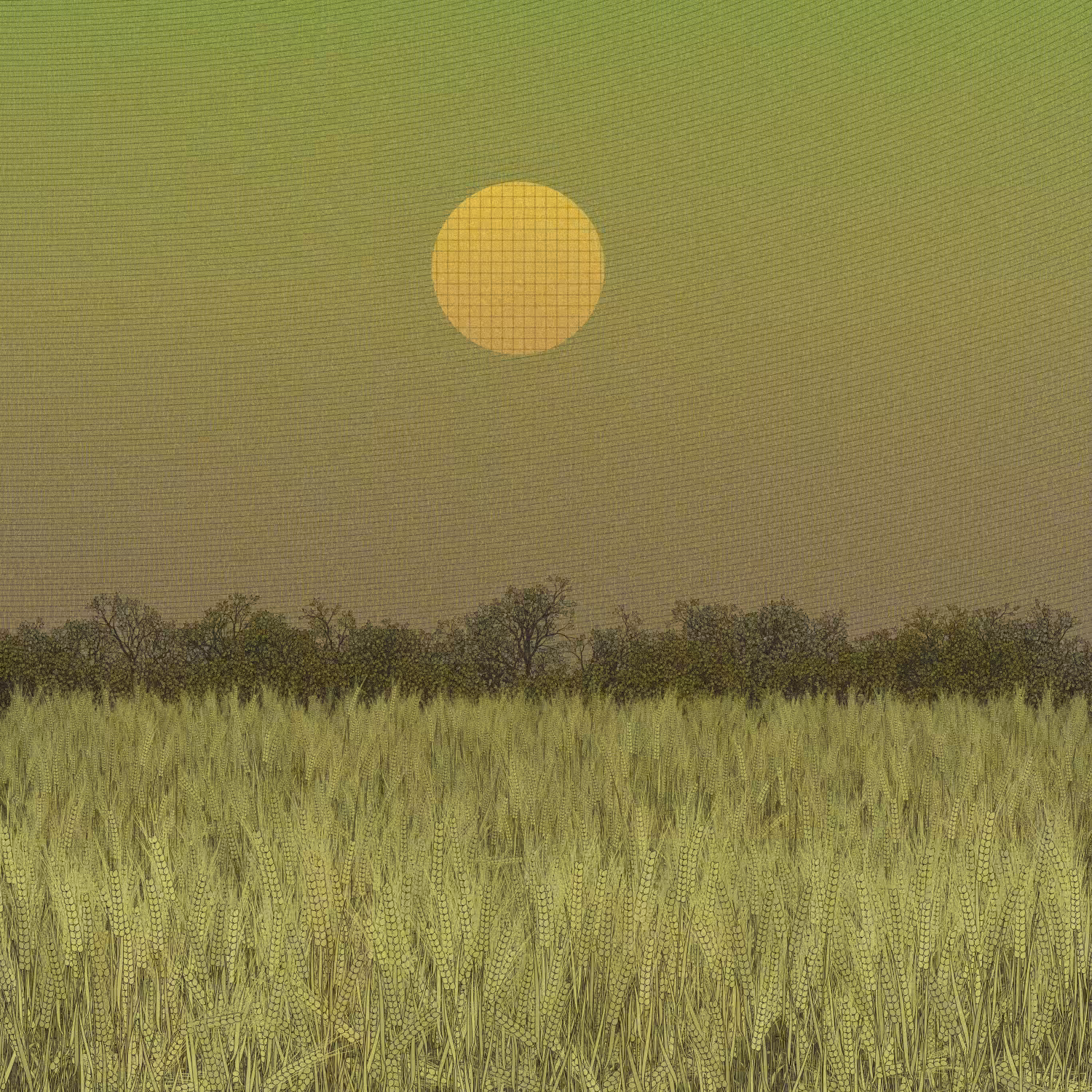 Fields of the Abandoned Homeland #27
