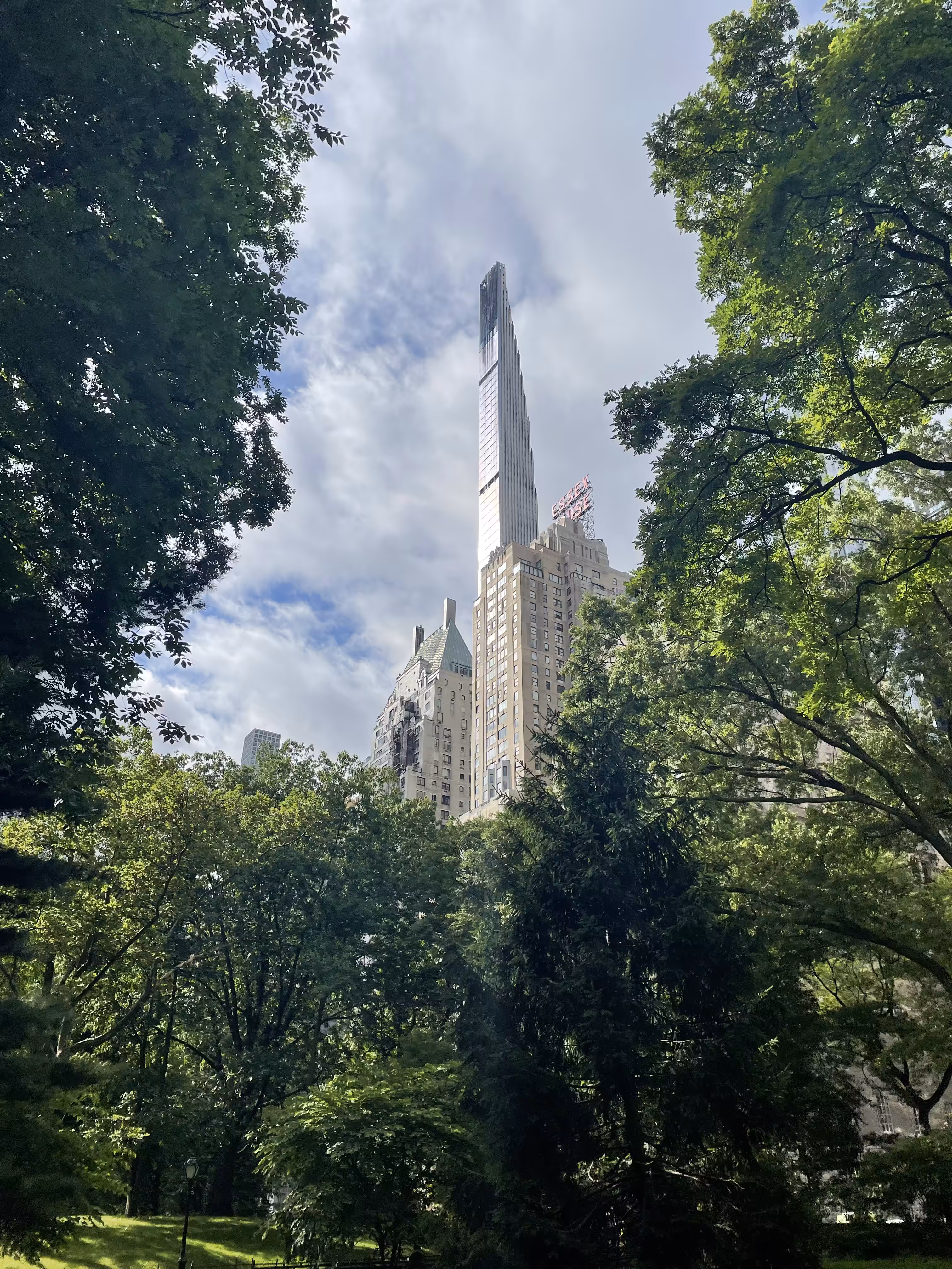 City Woods