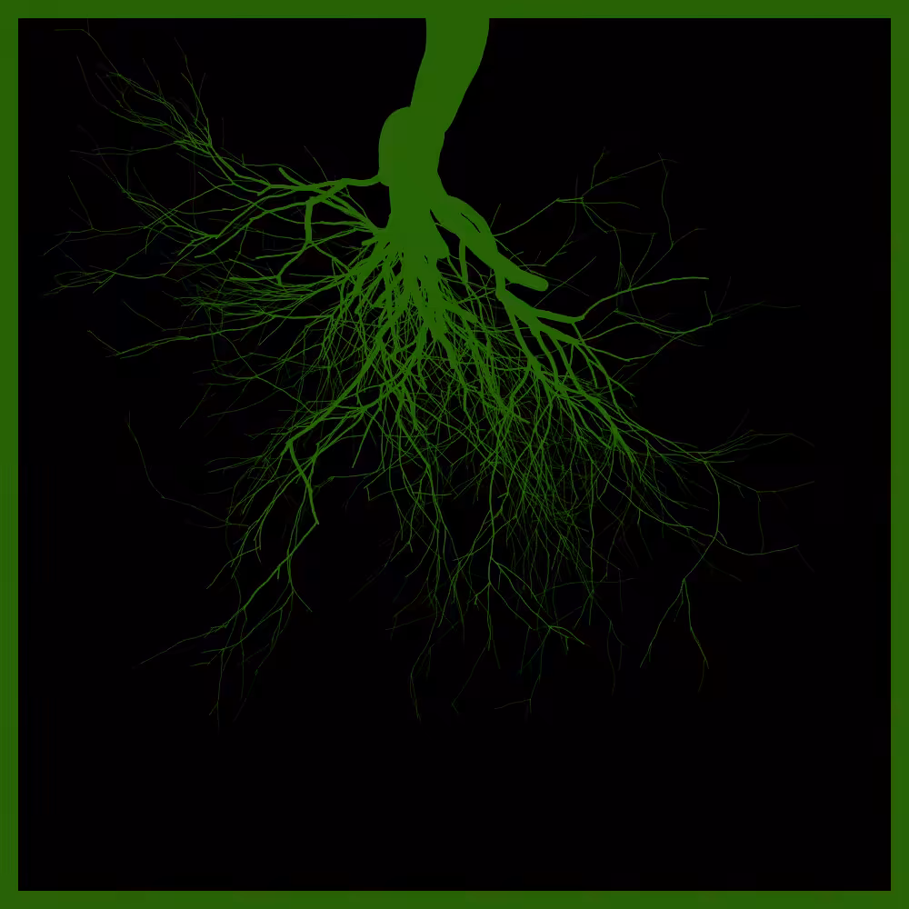 Arbres suspendus #10