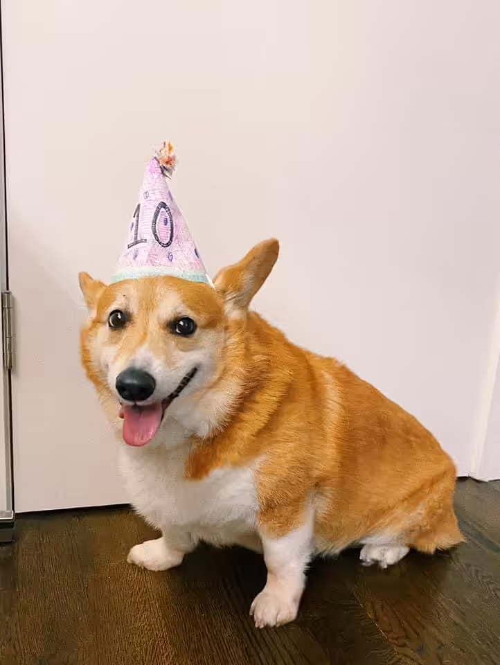 Butters is 10 today