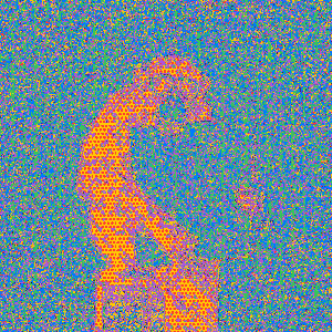 Coral Discord