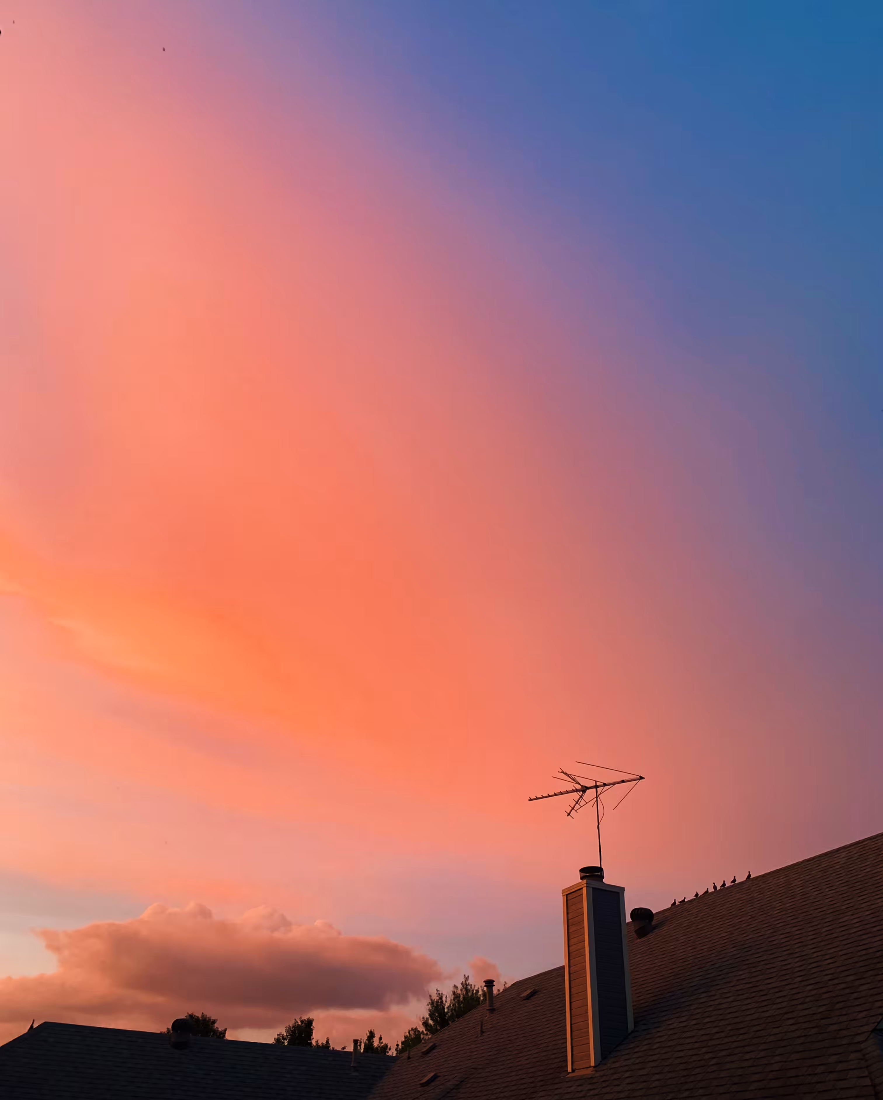 Cotton Candy Sky