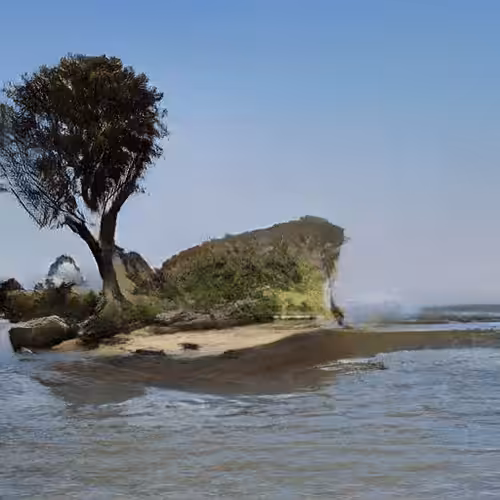 Island #21