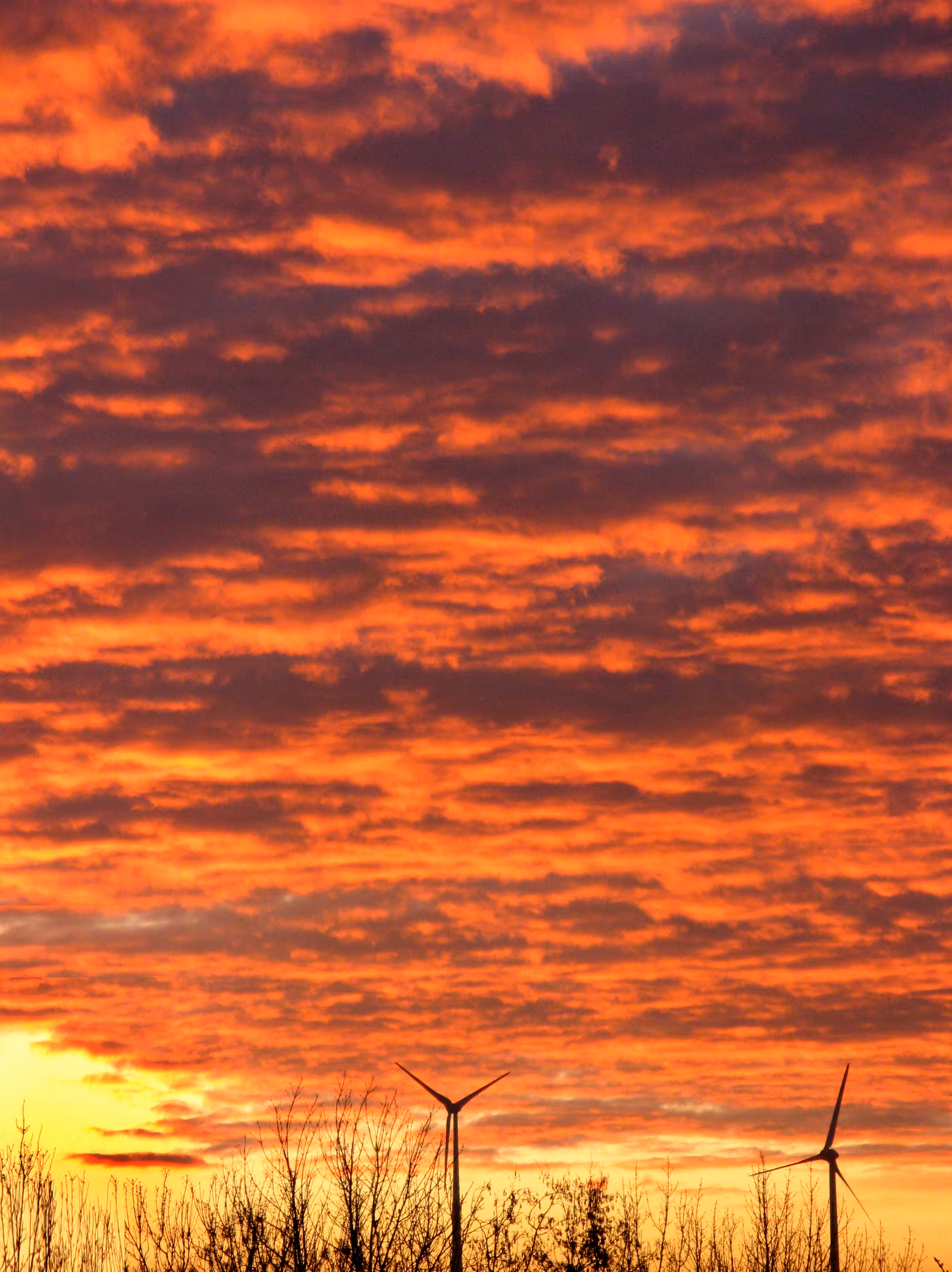 Glowing Morning Sky