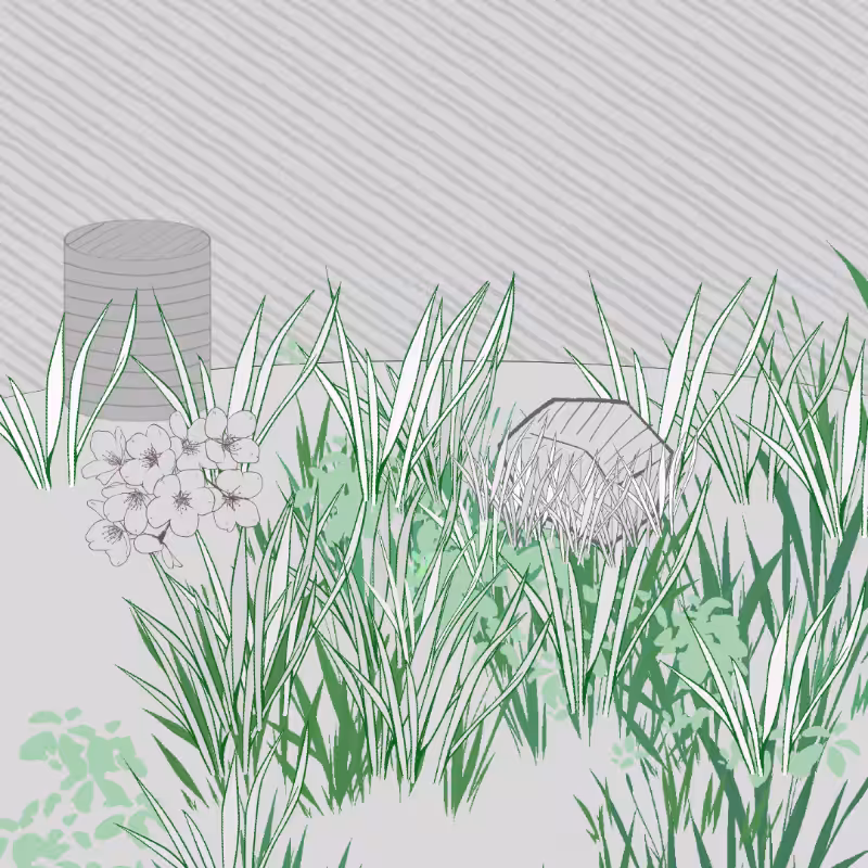Wild Grass and Rubble #10