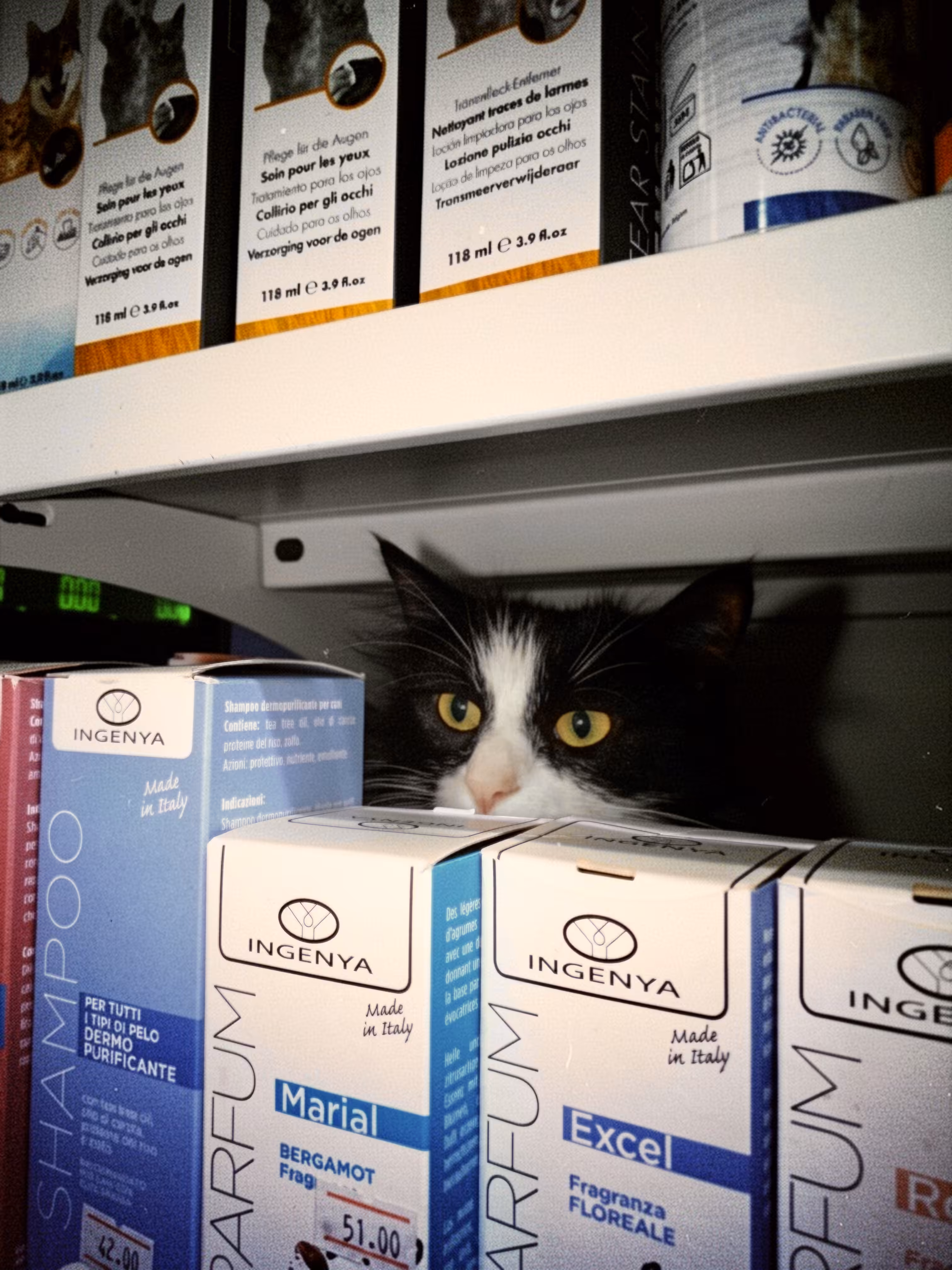 The Shelf Inspector