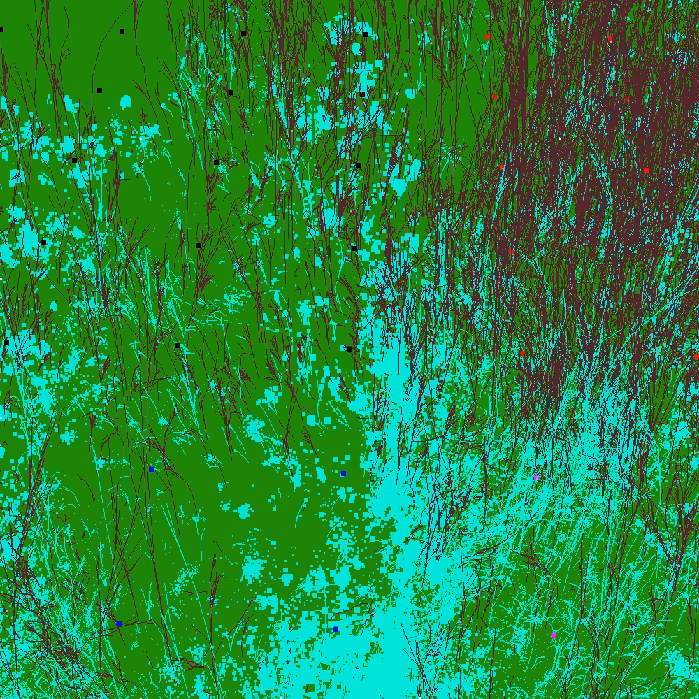 Infinite Garden: 54818 Flowers
