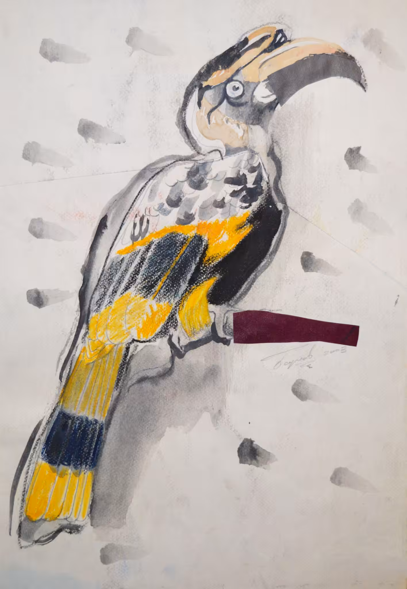 Toucan