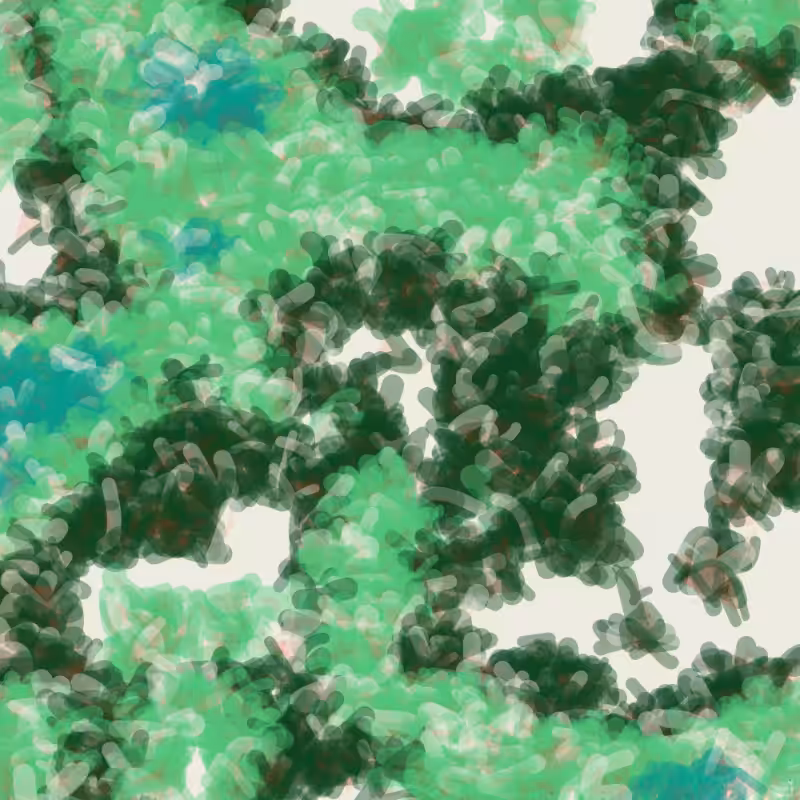 Petri 1500 #370