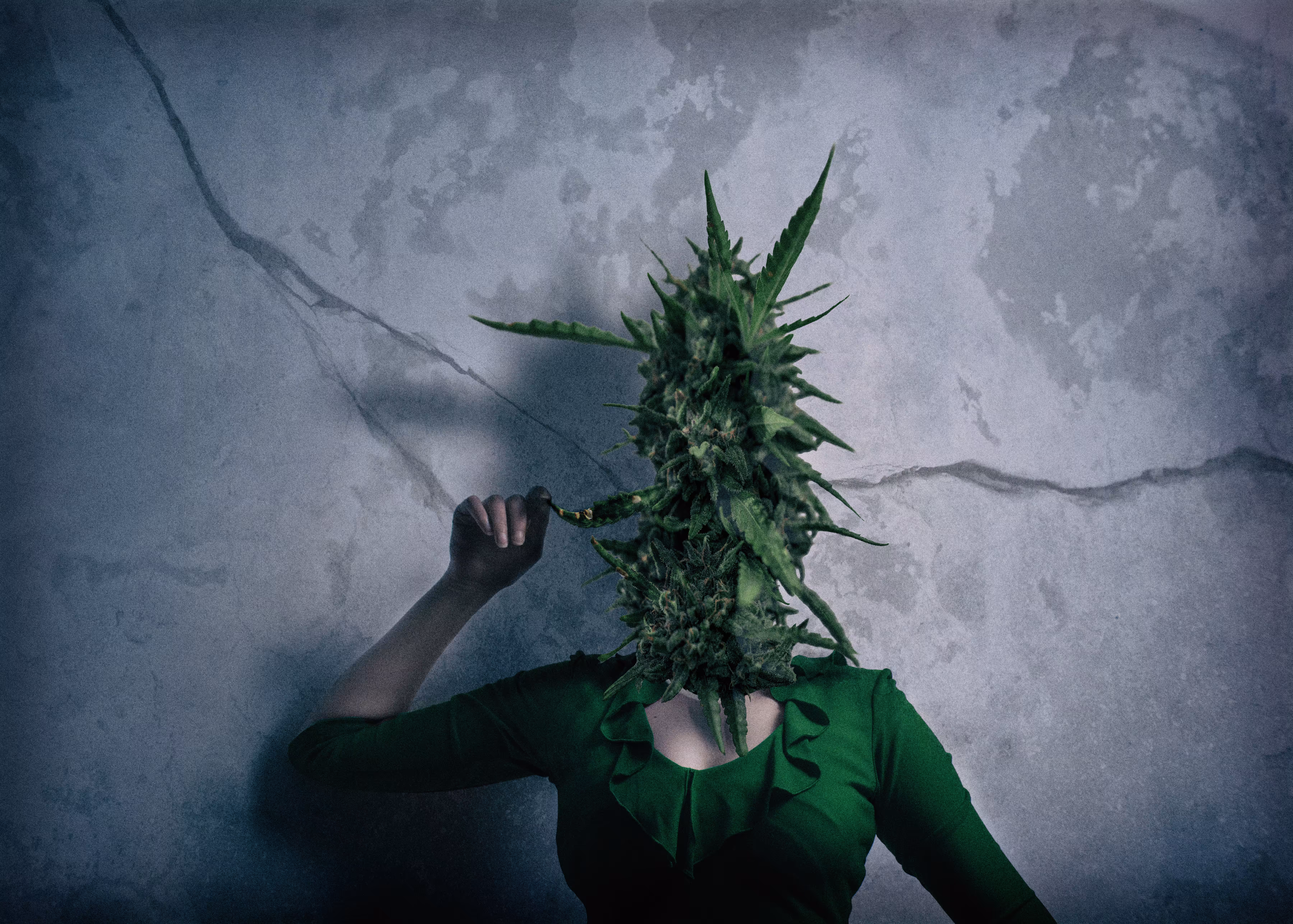 Mary Jane