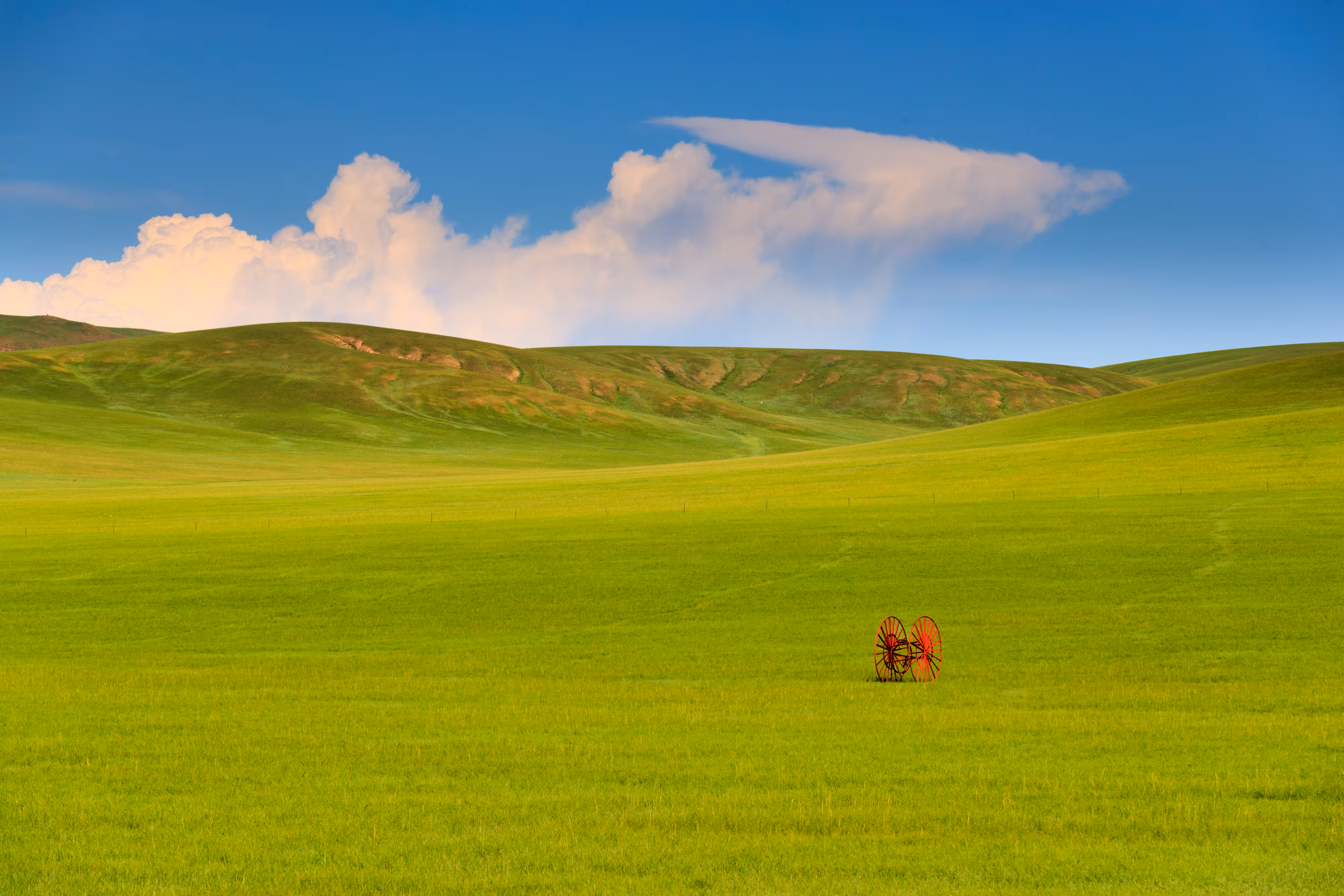 Mongolian Steppe