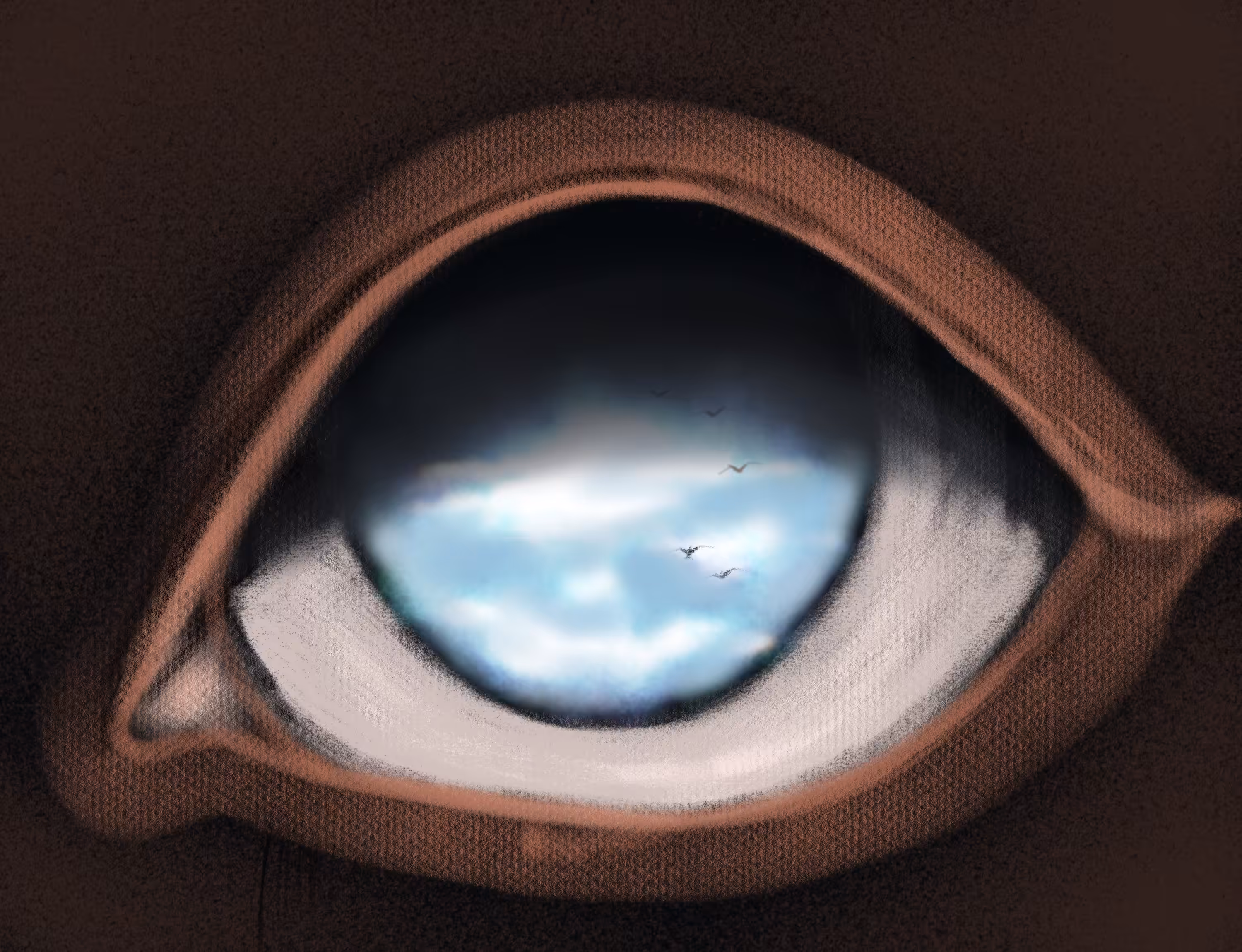 The artist’s eye