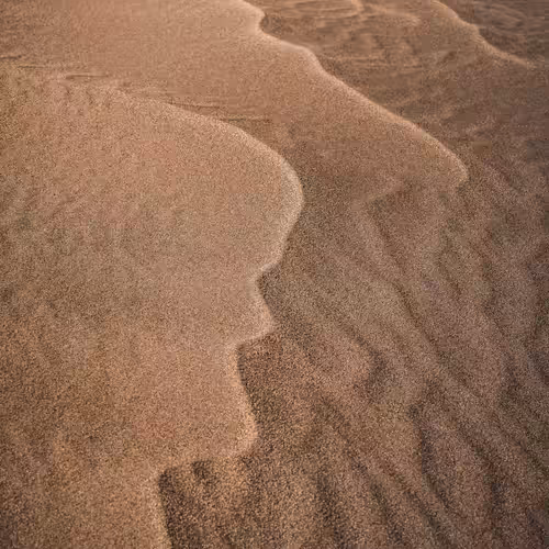 DUNE - 21, veins