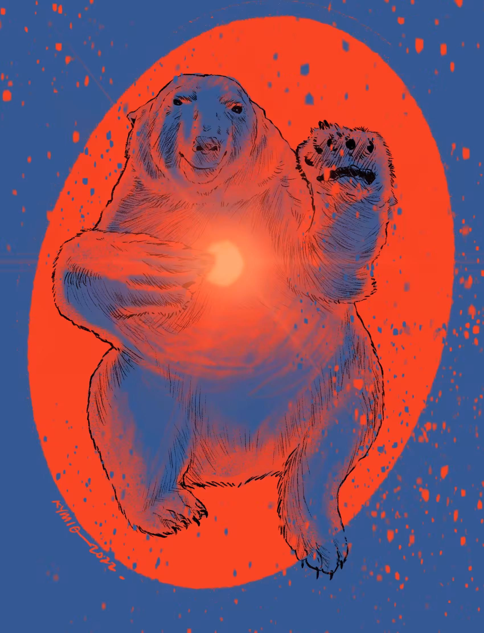 Nanook | ANIGMA