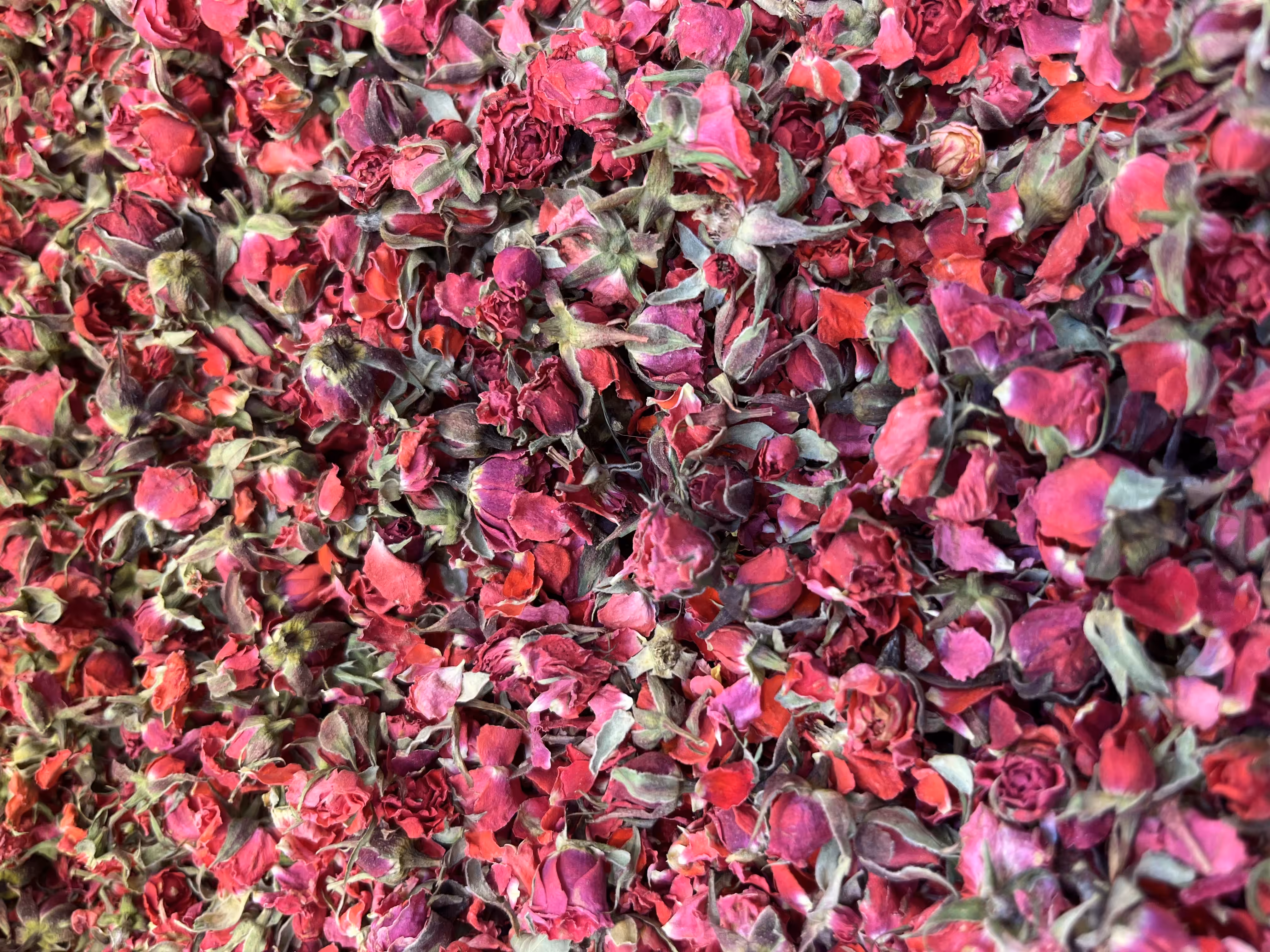 Eternal Rose