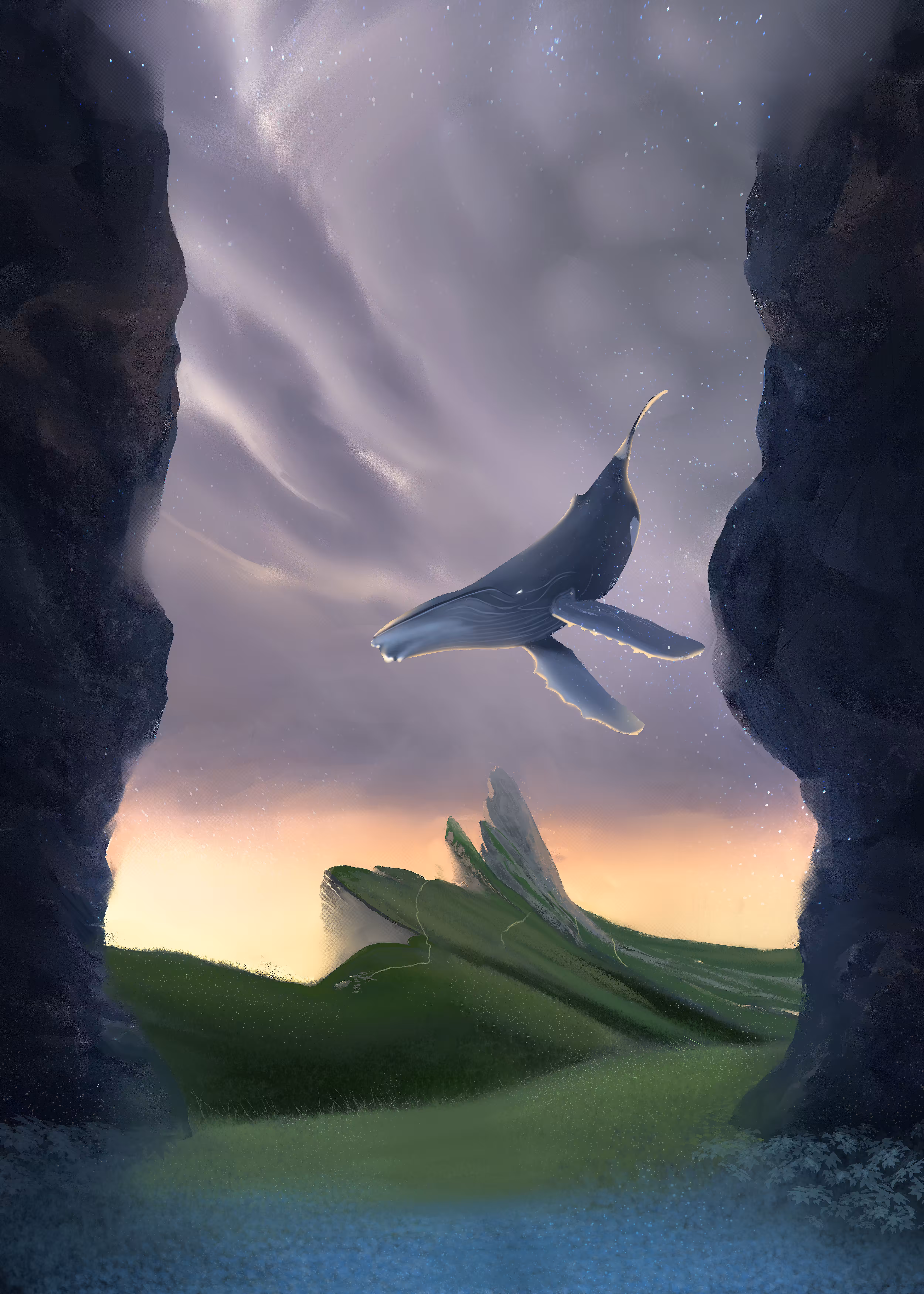 Dreamy Whale