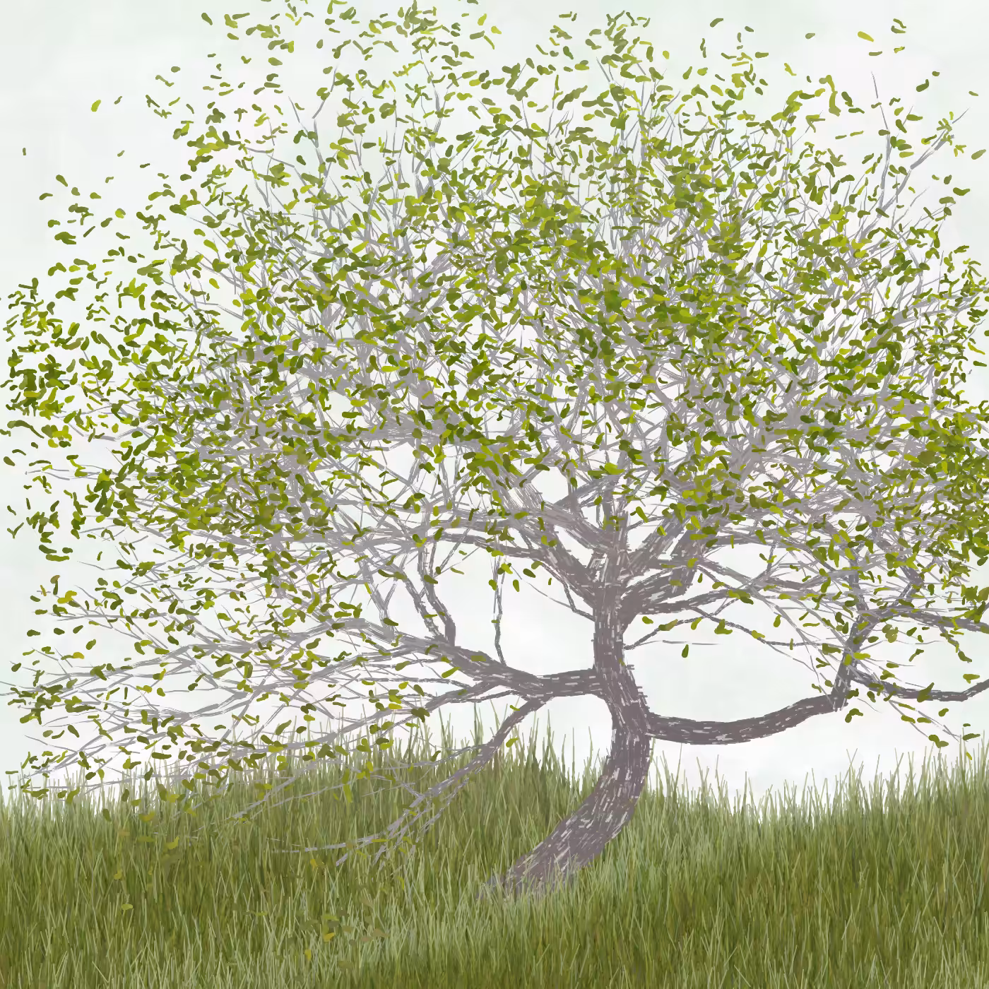 Ornamental Tree #31