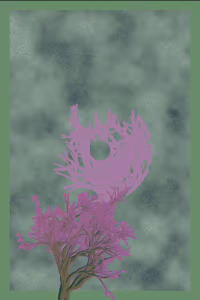 illusion #34
