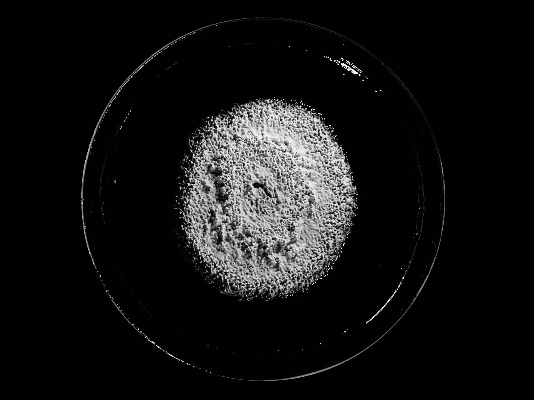 DISCOVERY #2 - PENICILLIN