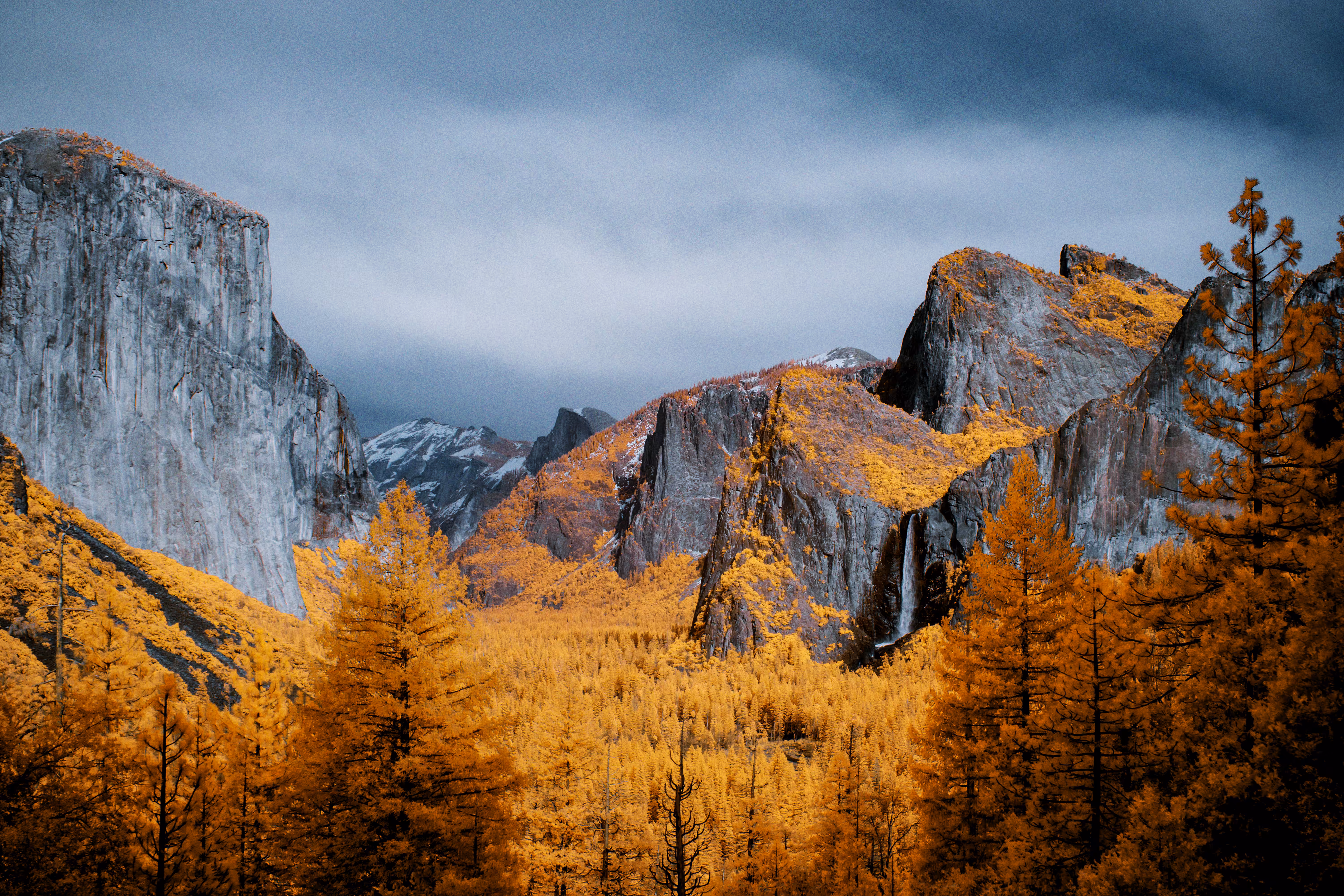 CALIFORN-IR #39