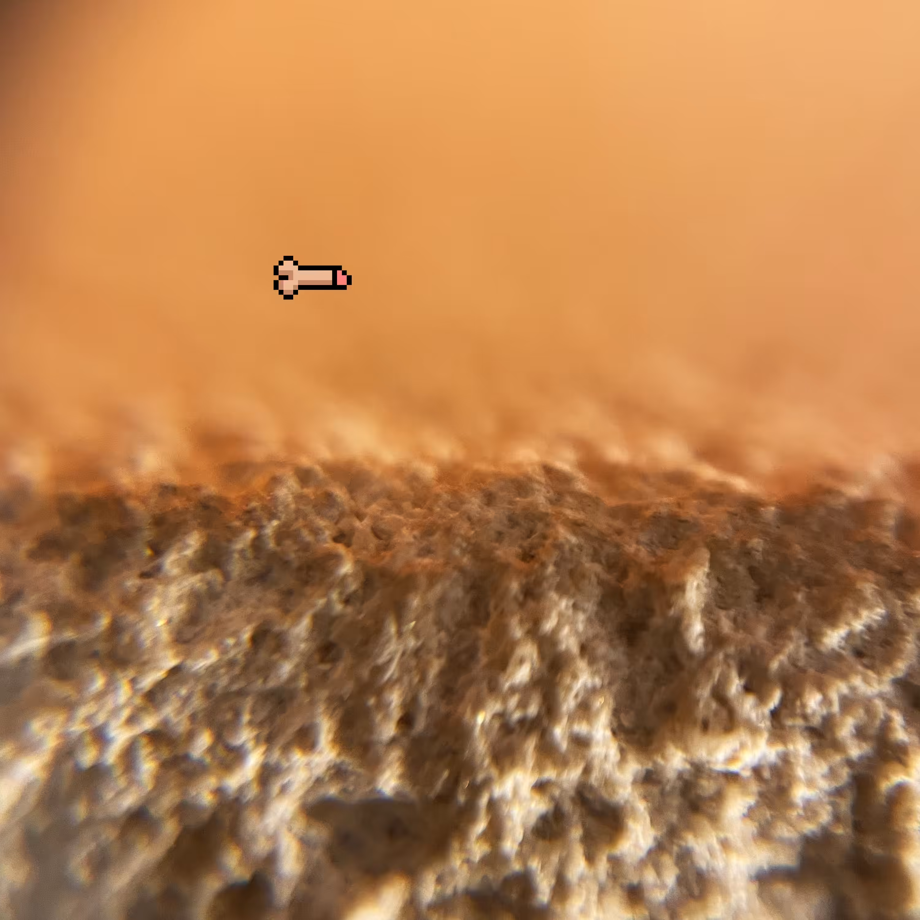 micro crypto cock exploring #1
