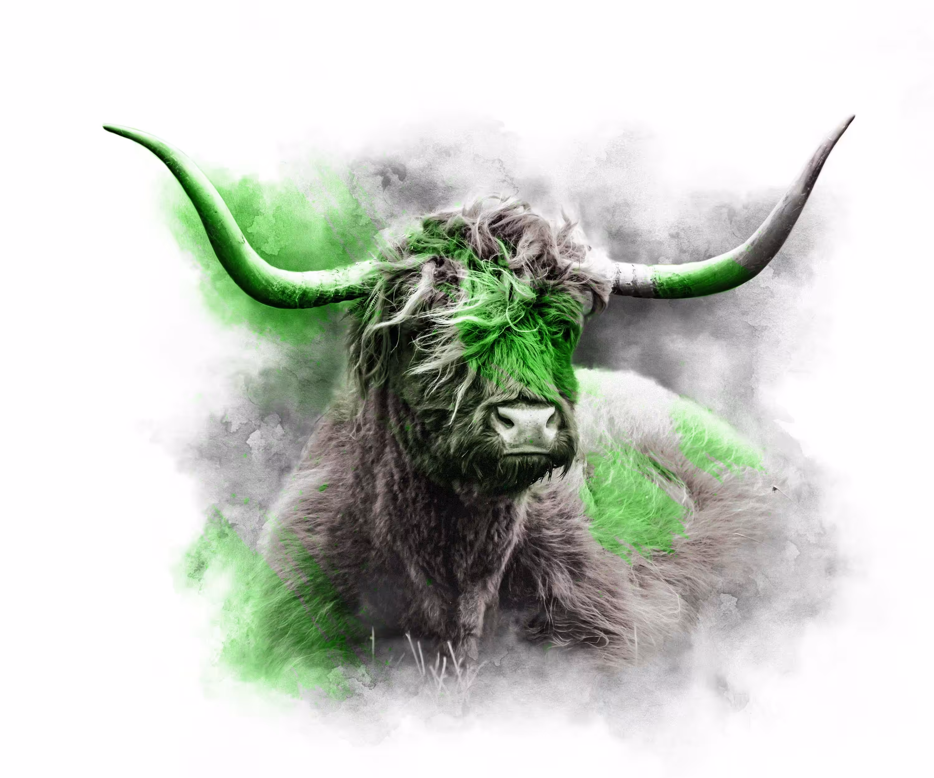 LIME SERIES - YAK