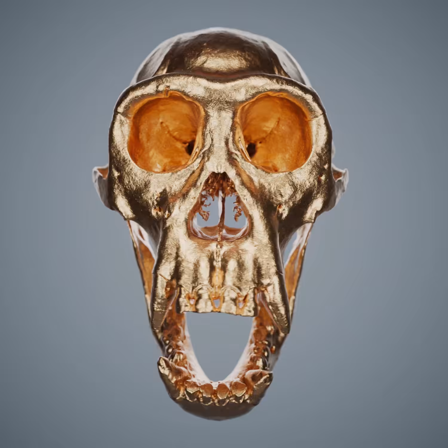Golden Chimp