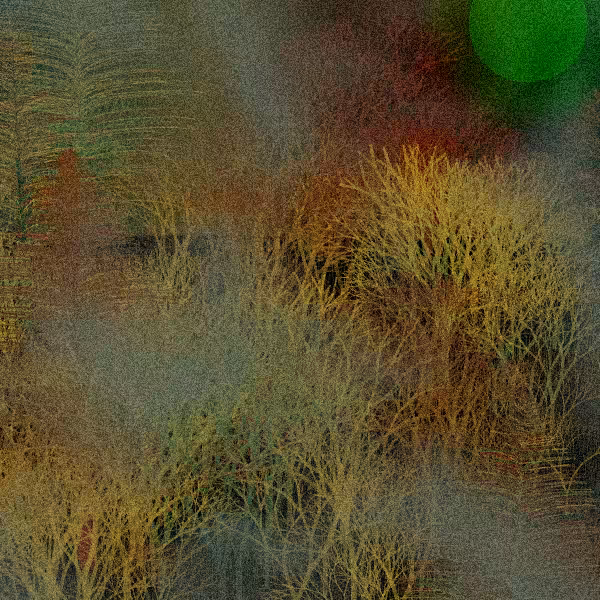 Moonlit Native Bush #38