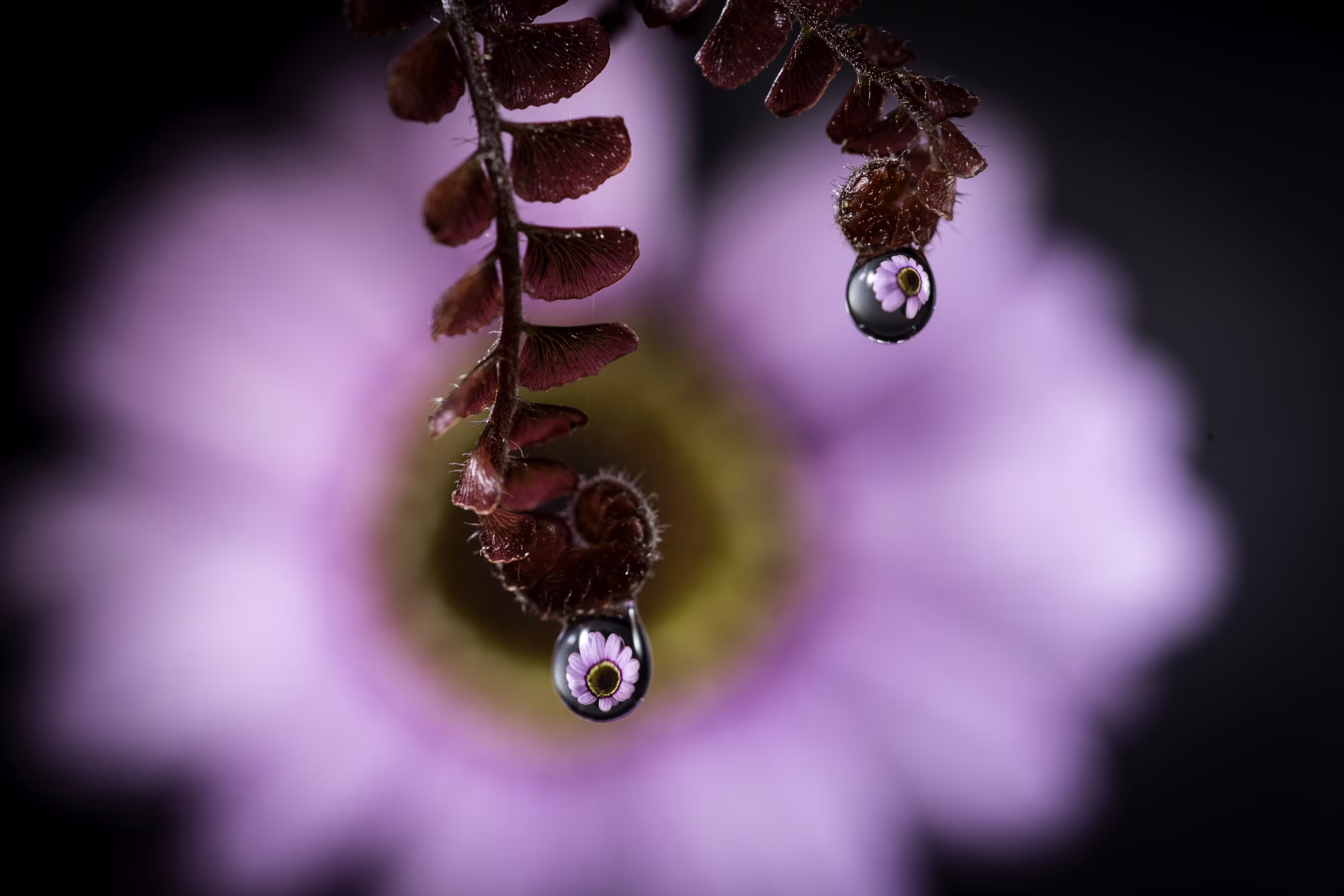 Unfurl