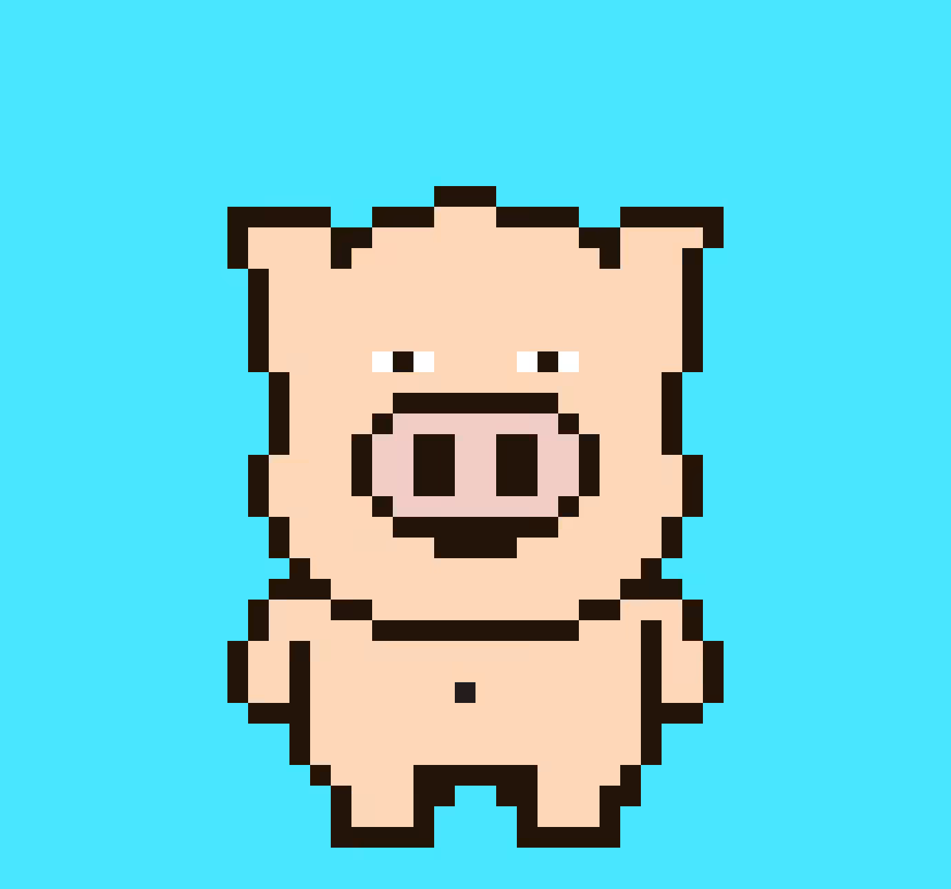 Mr Ham Pig #061