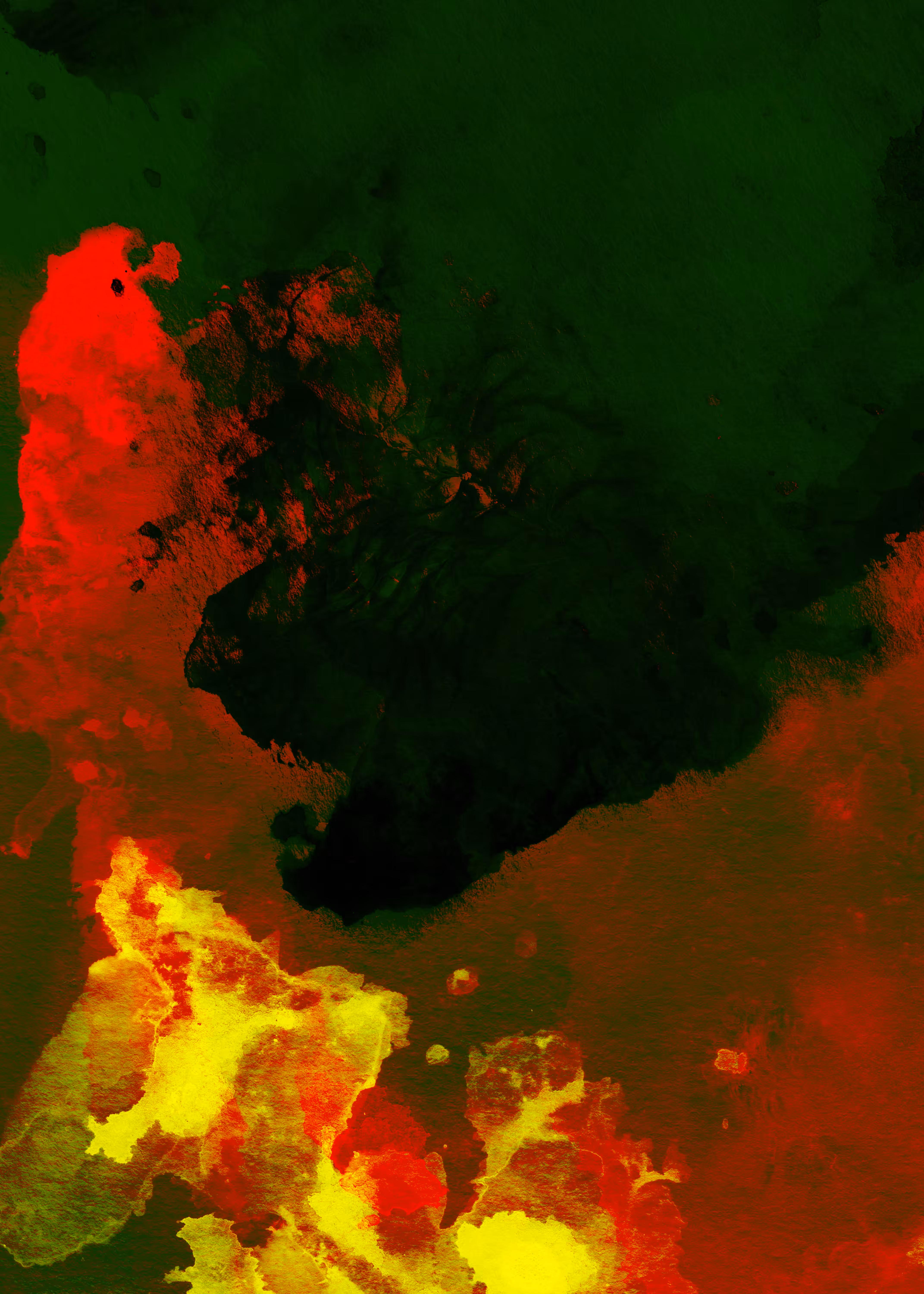 X-Ray #003