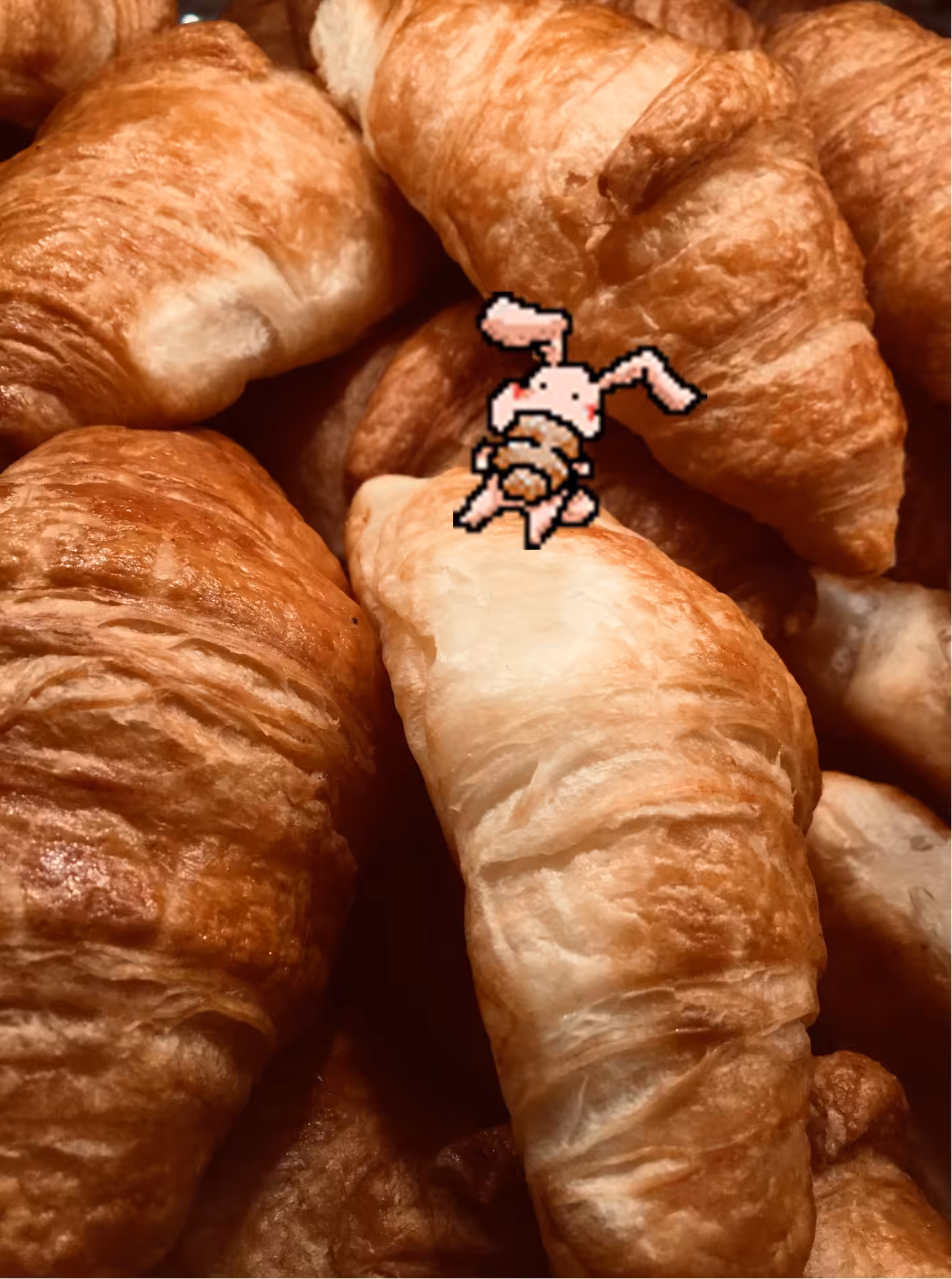 Croissant rabbit