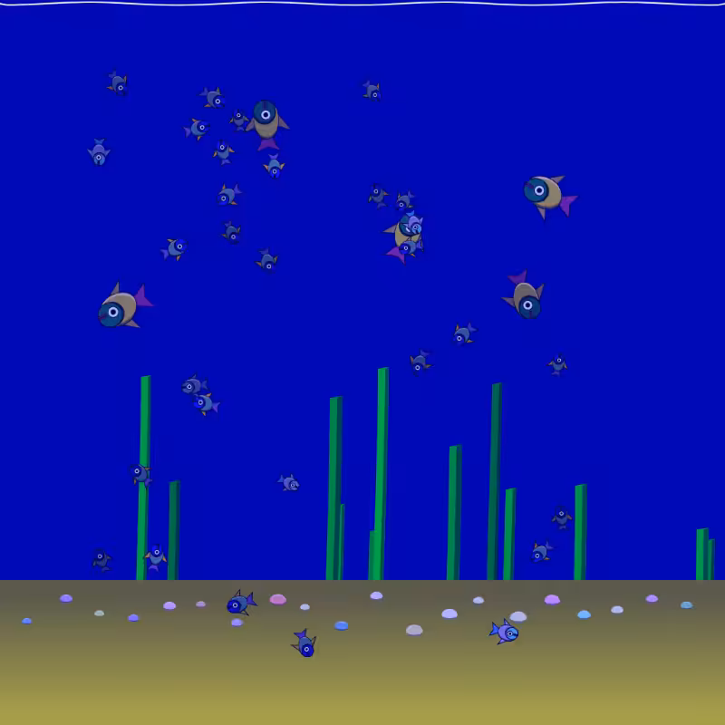 Underwater Schooling #19