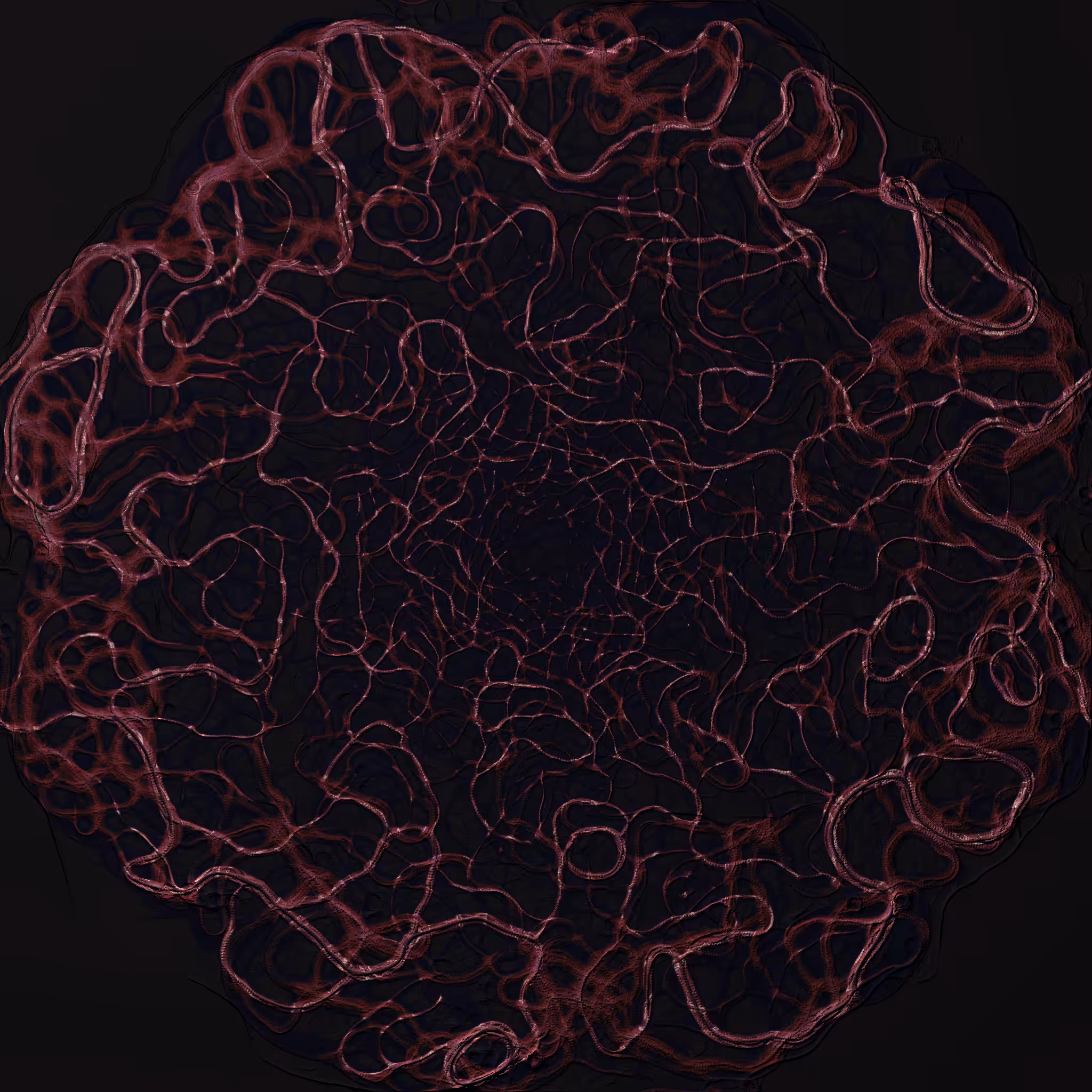 coalescence #244