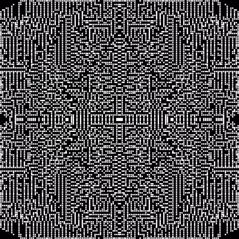 Cellular Canvas #223