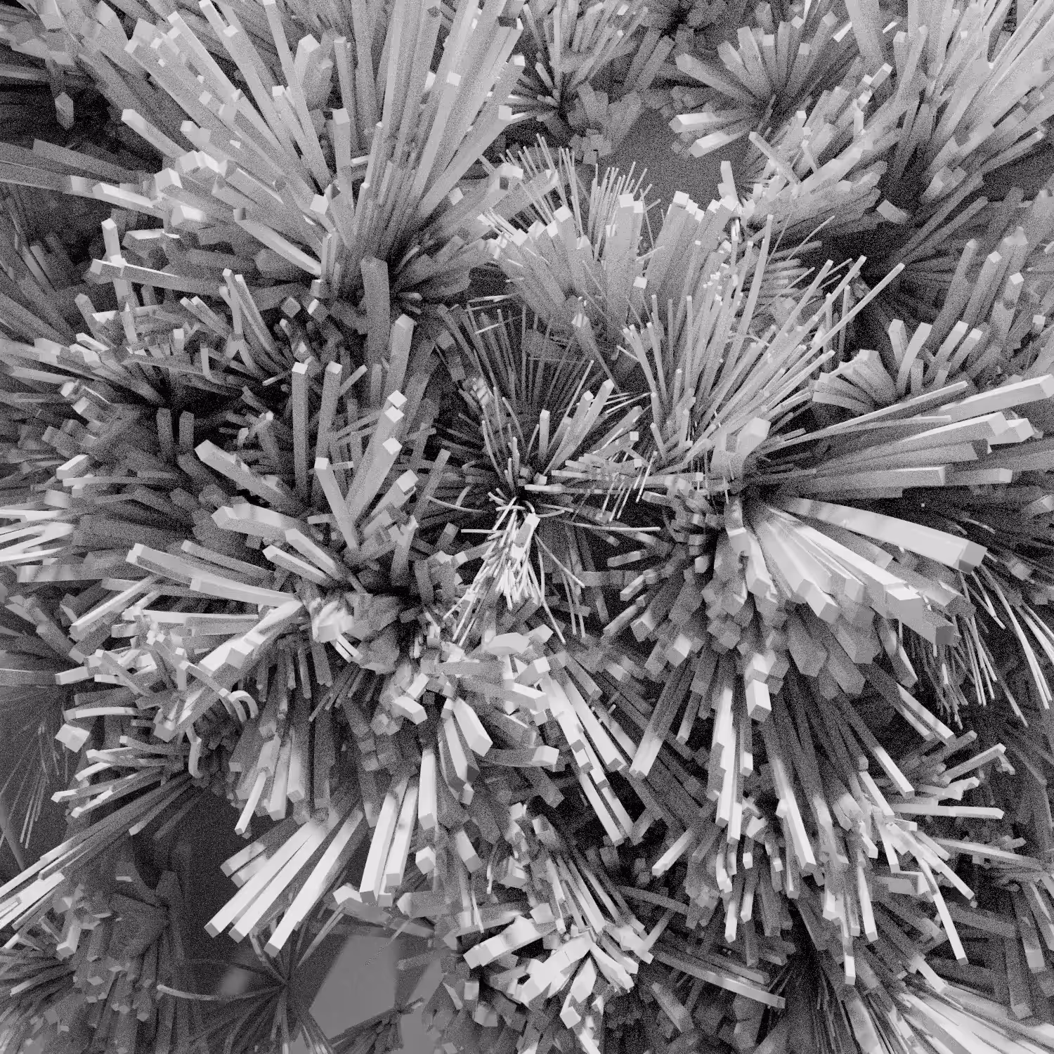 reverberations [in motion]